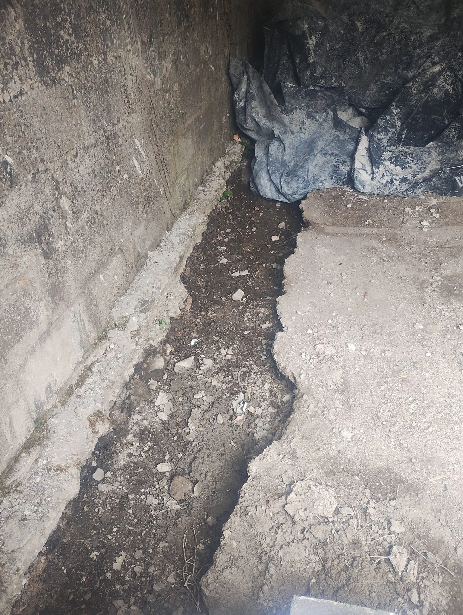 WhatsApp Image 2024-08-18 at 16.01.43 (10).jpeg