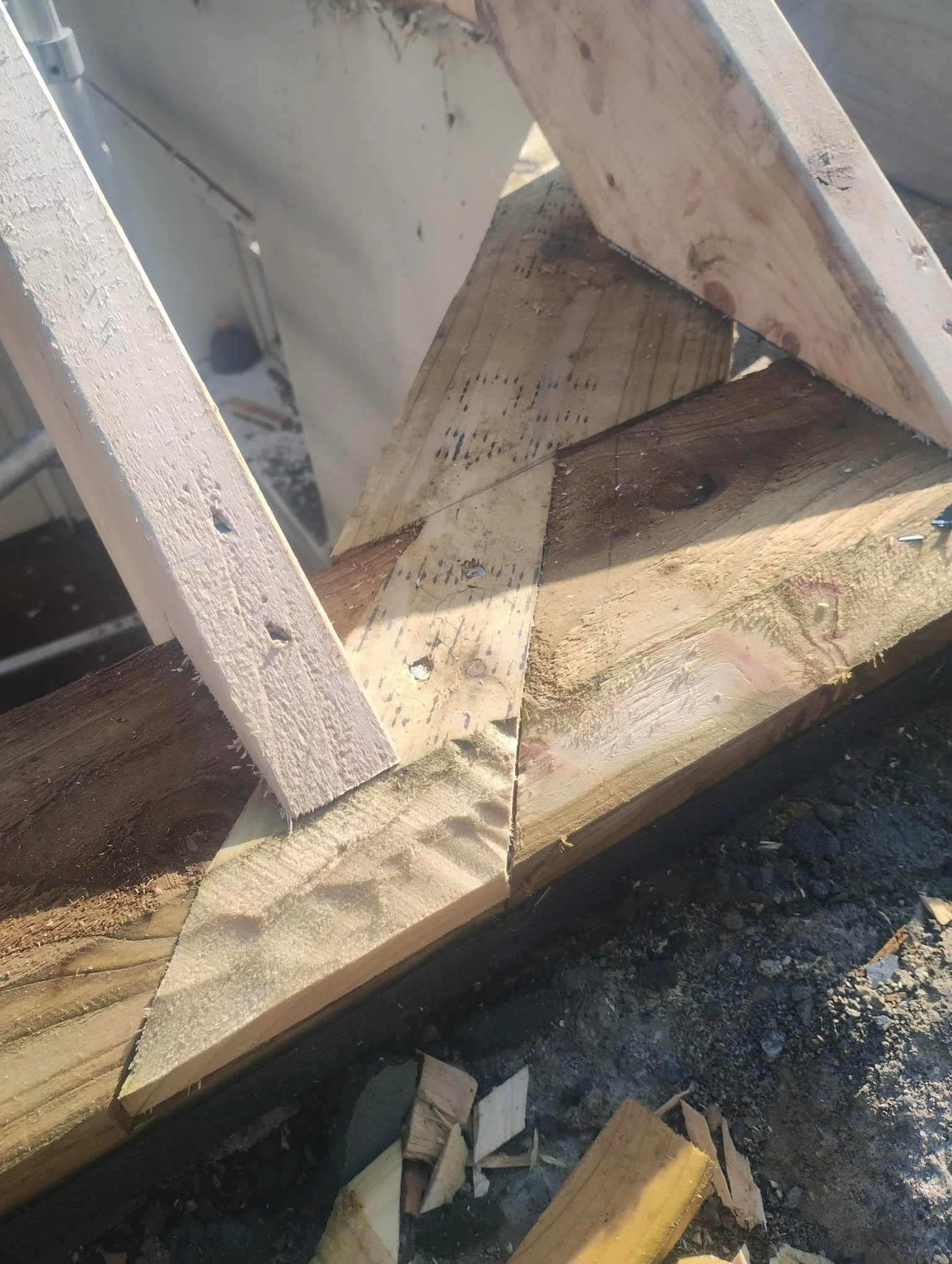 WhatsApp Image 2024-07-25 at 21.22.53 (13).jpeg