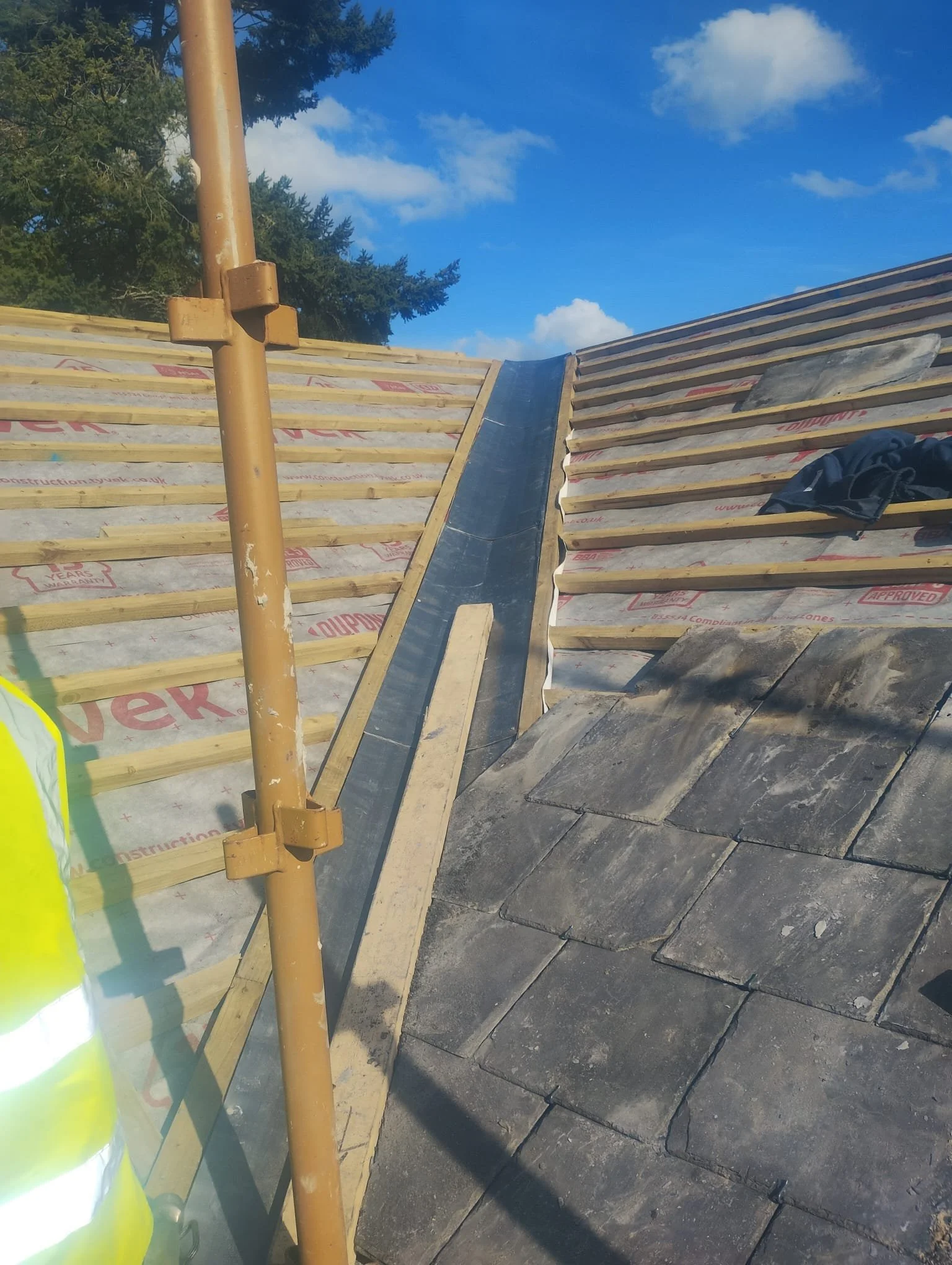 WhatsApp Image 2024-07-25 at 21.20.29 (9).jpeg