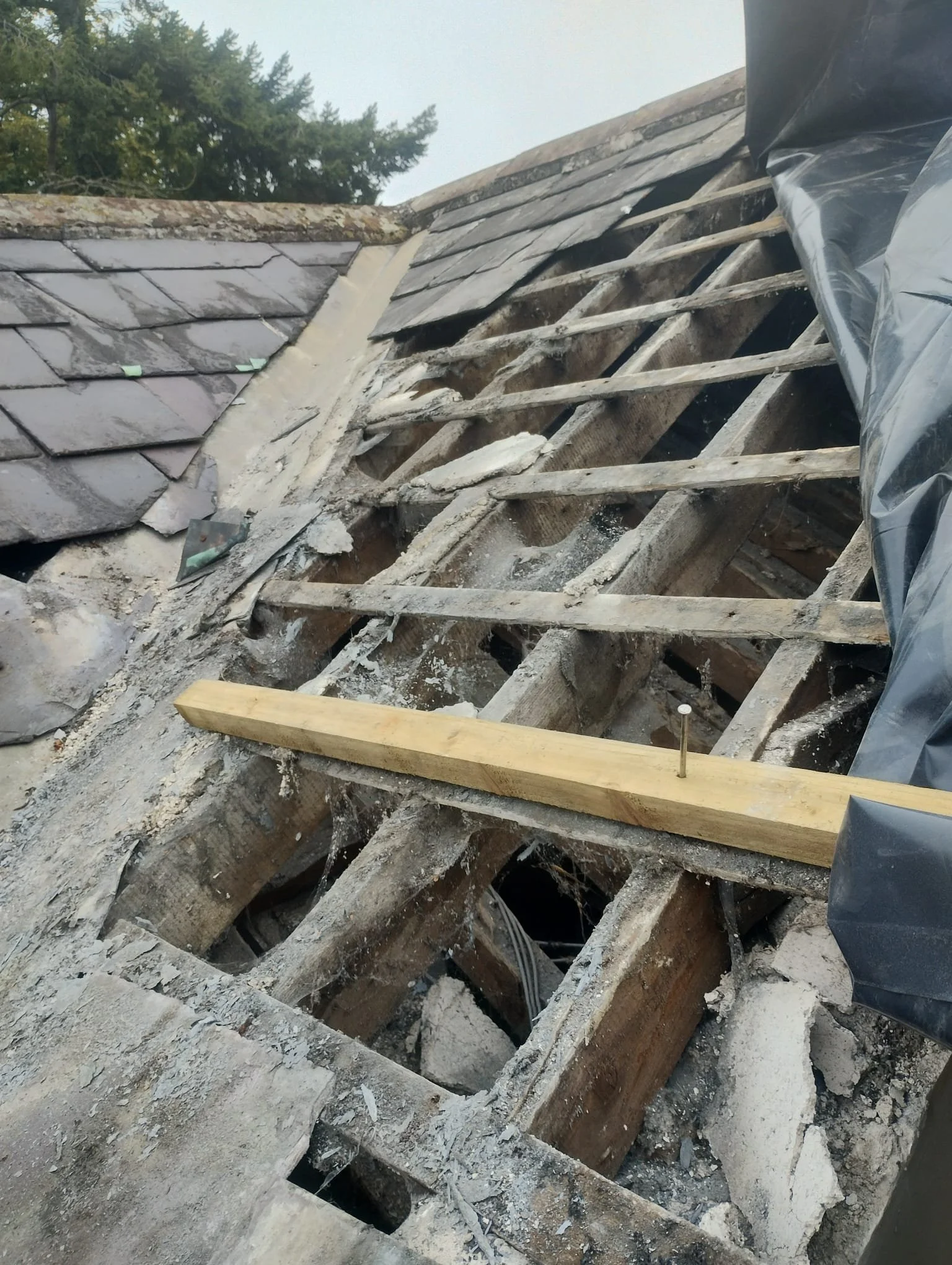 WhatsApp Image 2024-07-25 at 21.05.58 (6).jpeg