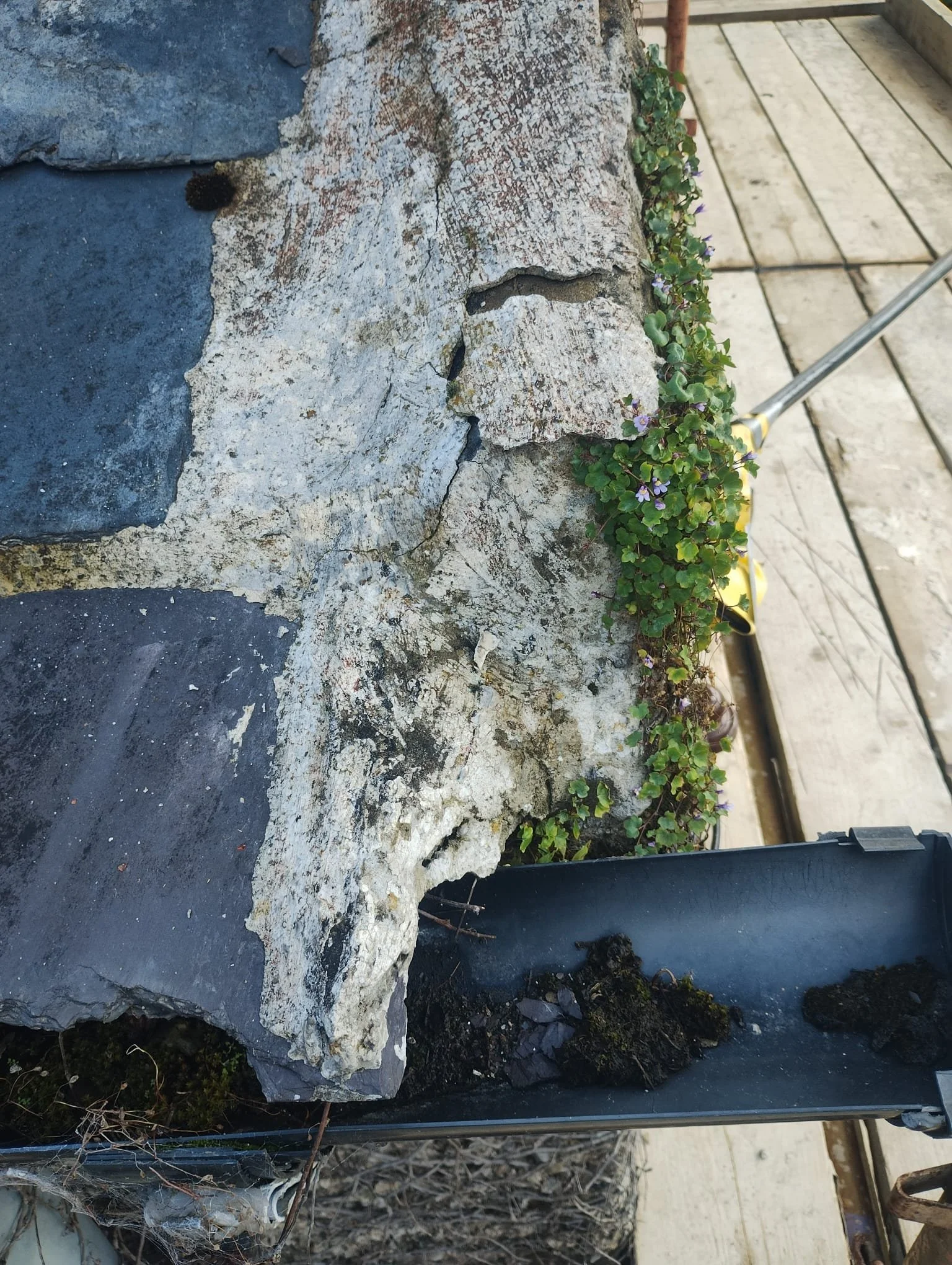 WhatsApp Image 2024-08-18 at 15.11.34 (9).jpeg