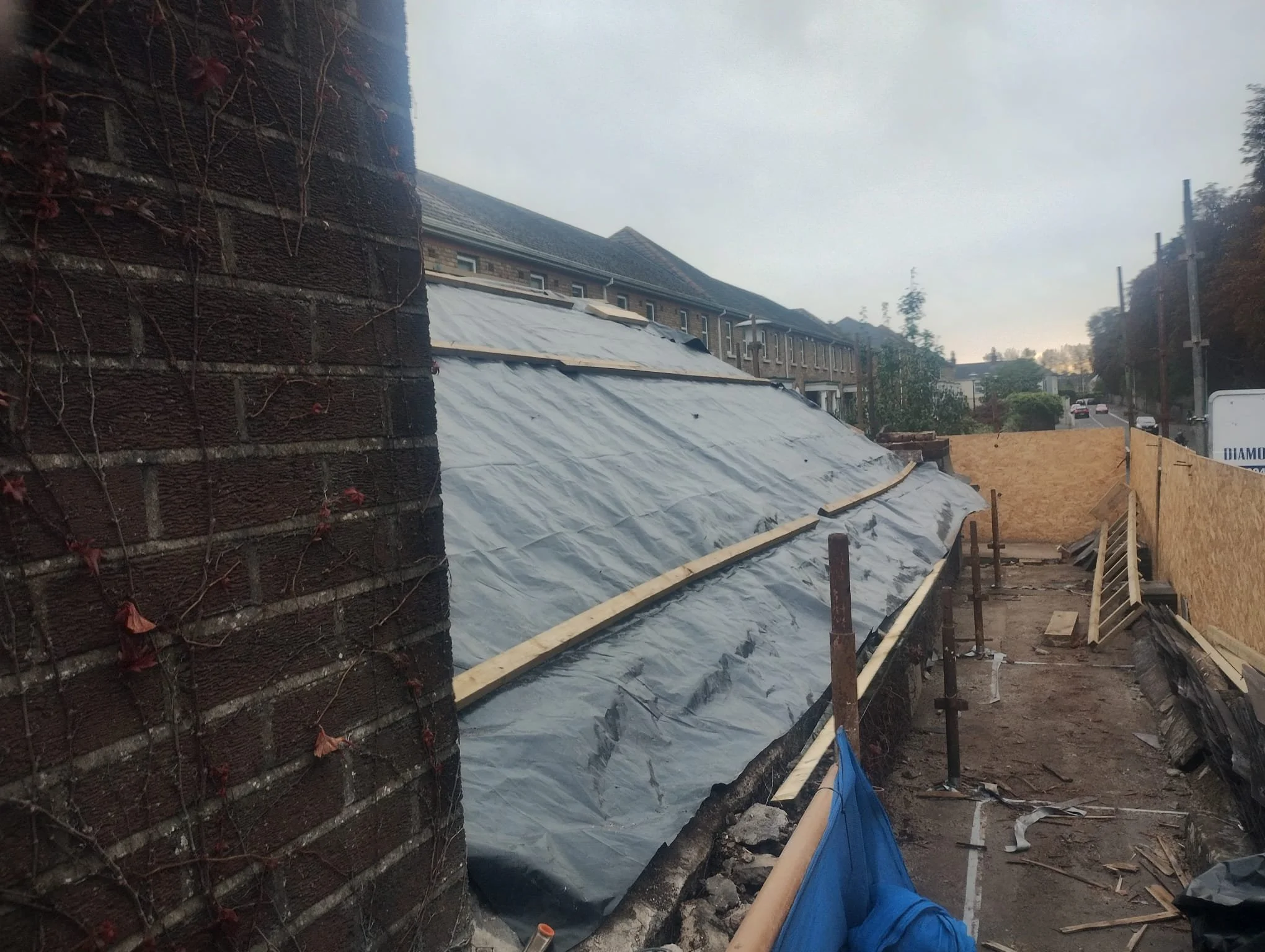 WhatsApp Image 2024-07-25 at 21.22.53.jpeg