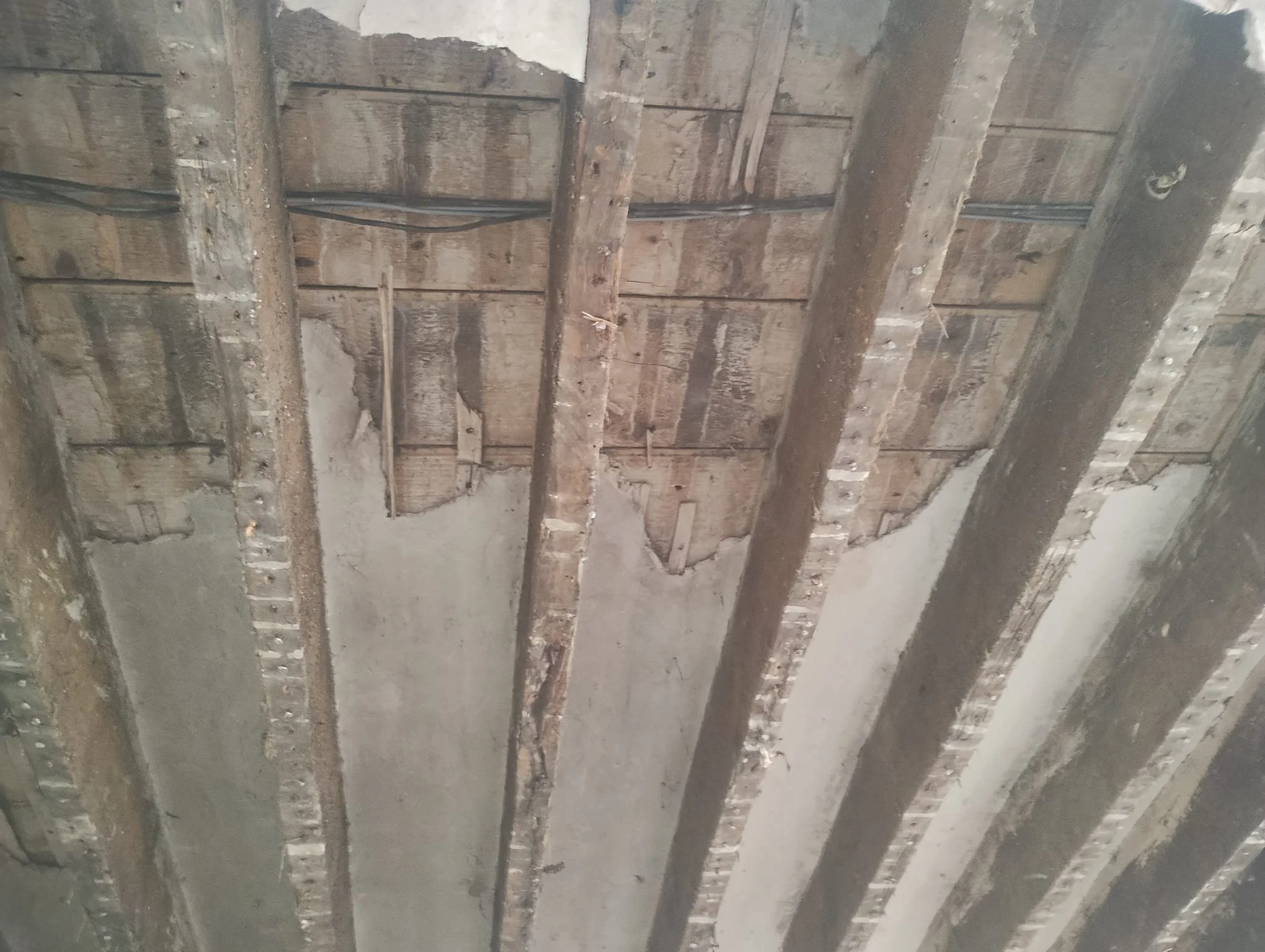 WhatsApp Image 2024-08-18 at 15.11.21 (12).jpeg