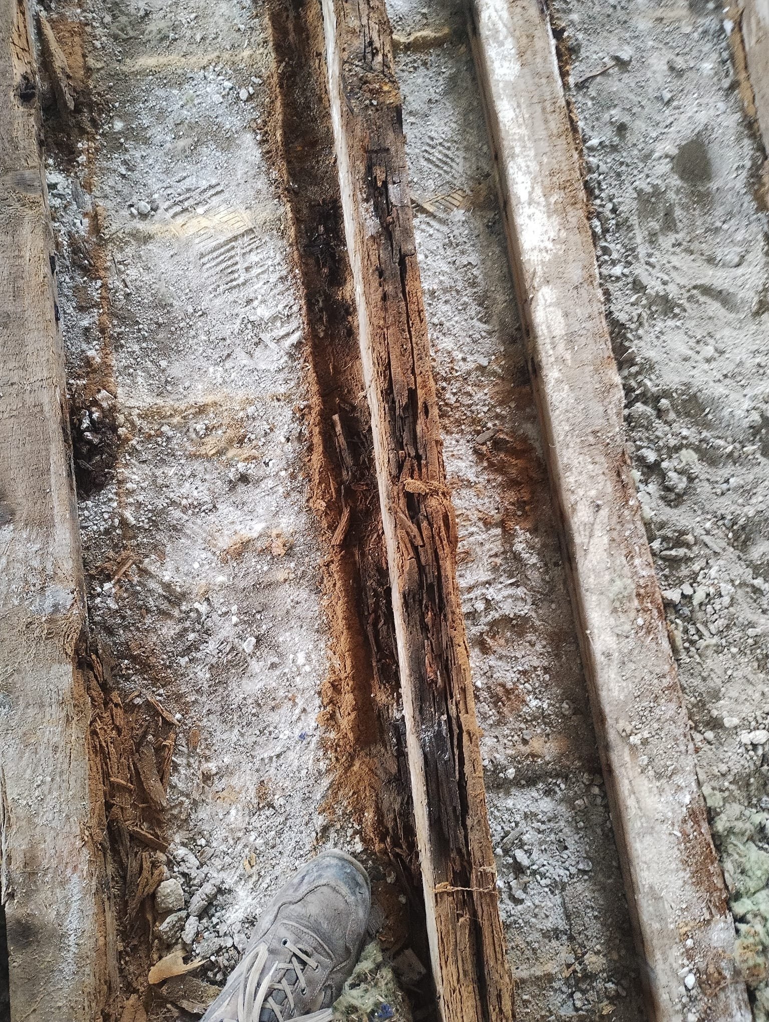 WhatsApp Image 2024-07-25 at 21.06.00 (11).jpeg