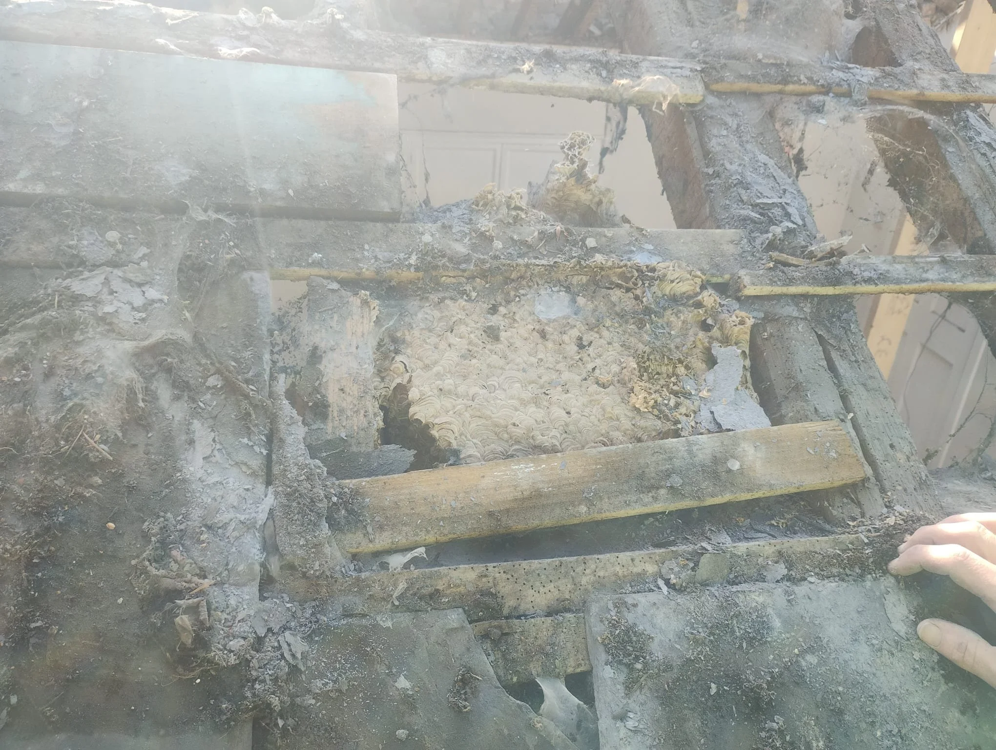 WhatsApp Image 2024-08-18 at 15.10.05.jpeg