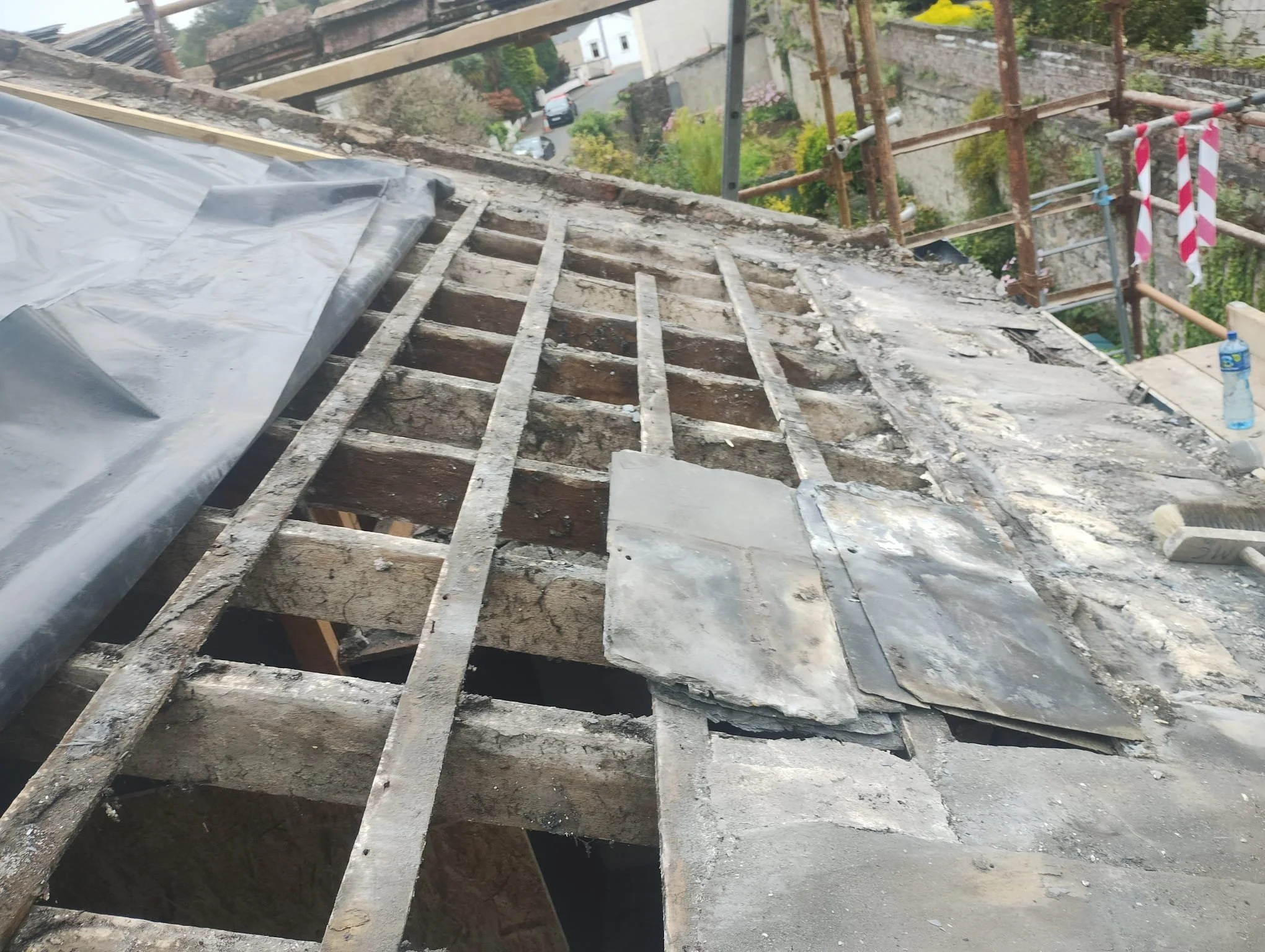 WhatsApp Image 2024-08-18 at 15.11.33 (7).jpeg