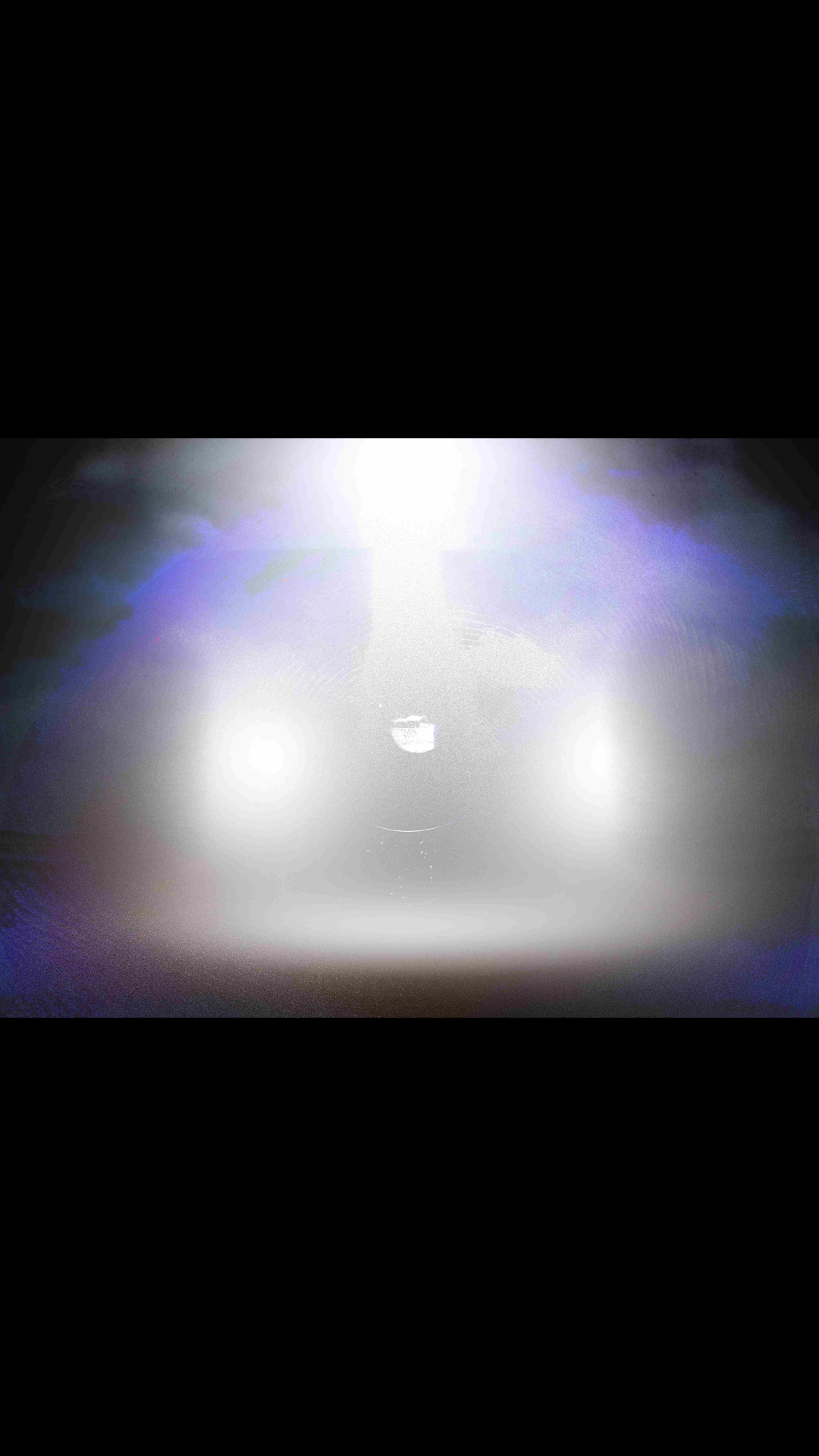 B_SM_with_bgc (3).png