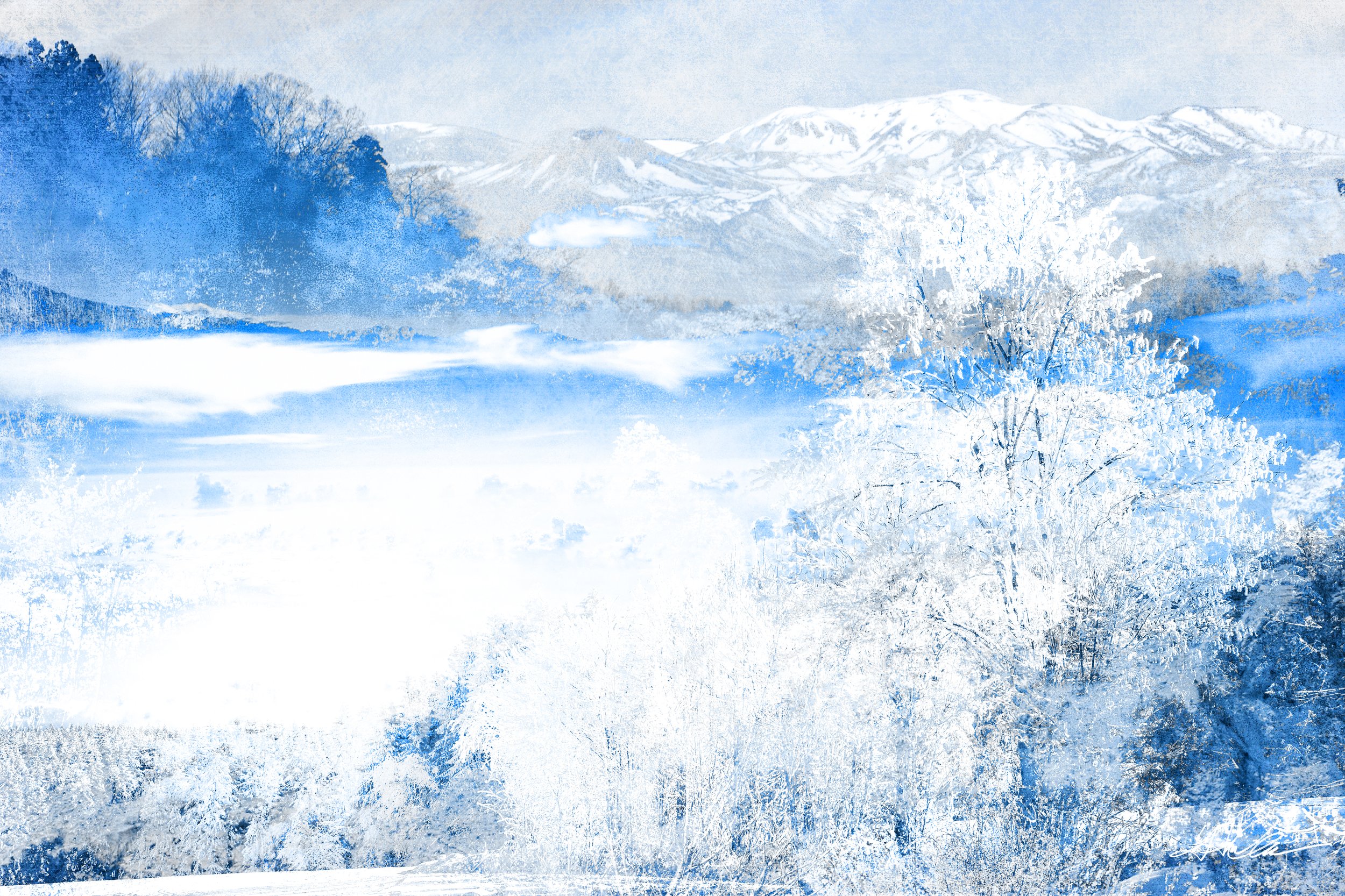 Winter landscape with snow-covered trees and distant mountains under a blue sky.