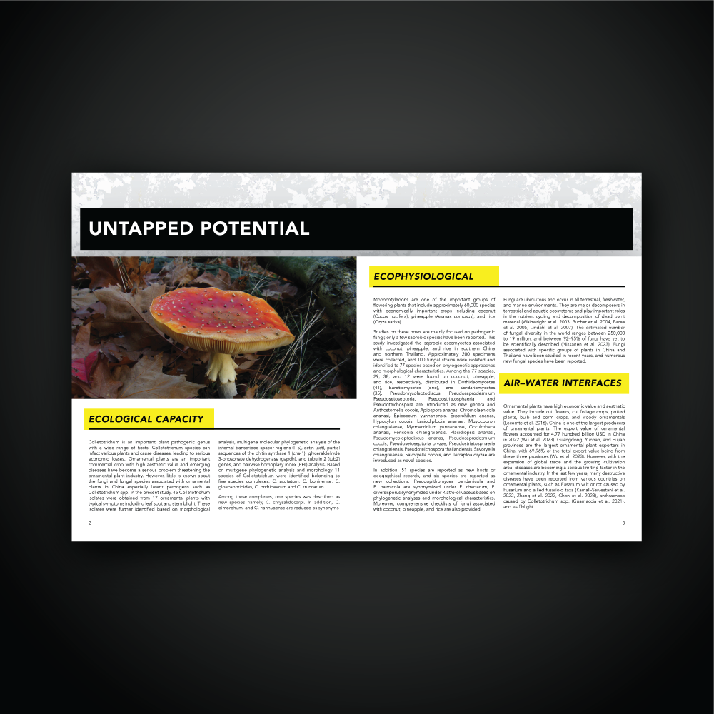 Funga Environmental Logo and Booklet