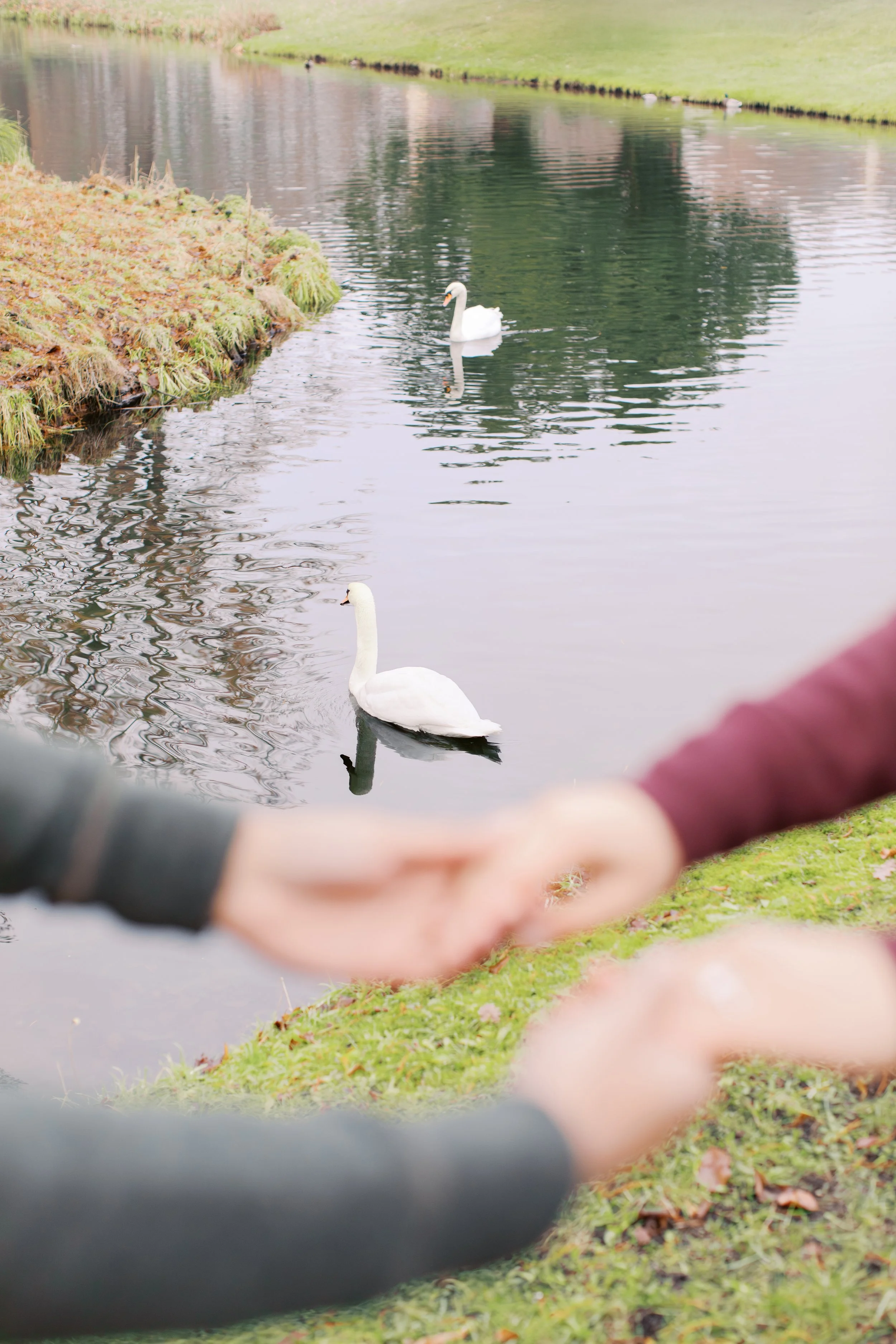 Proposal at ​potsdam park sanssouci