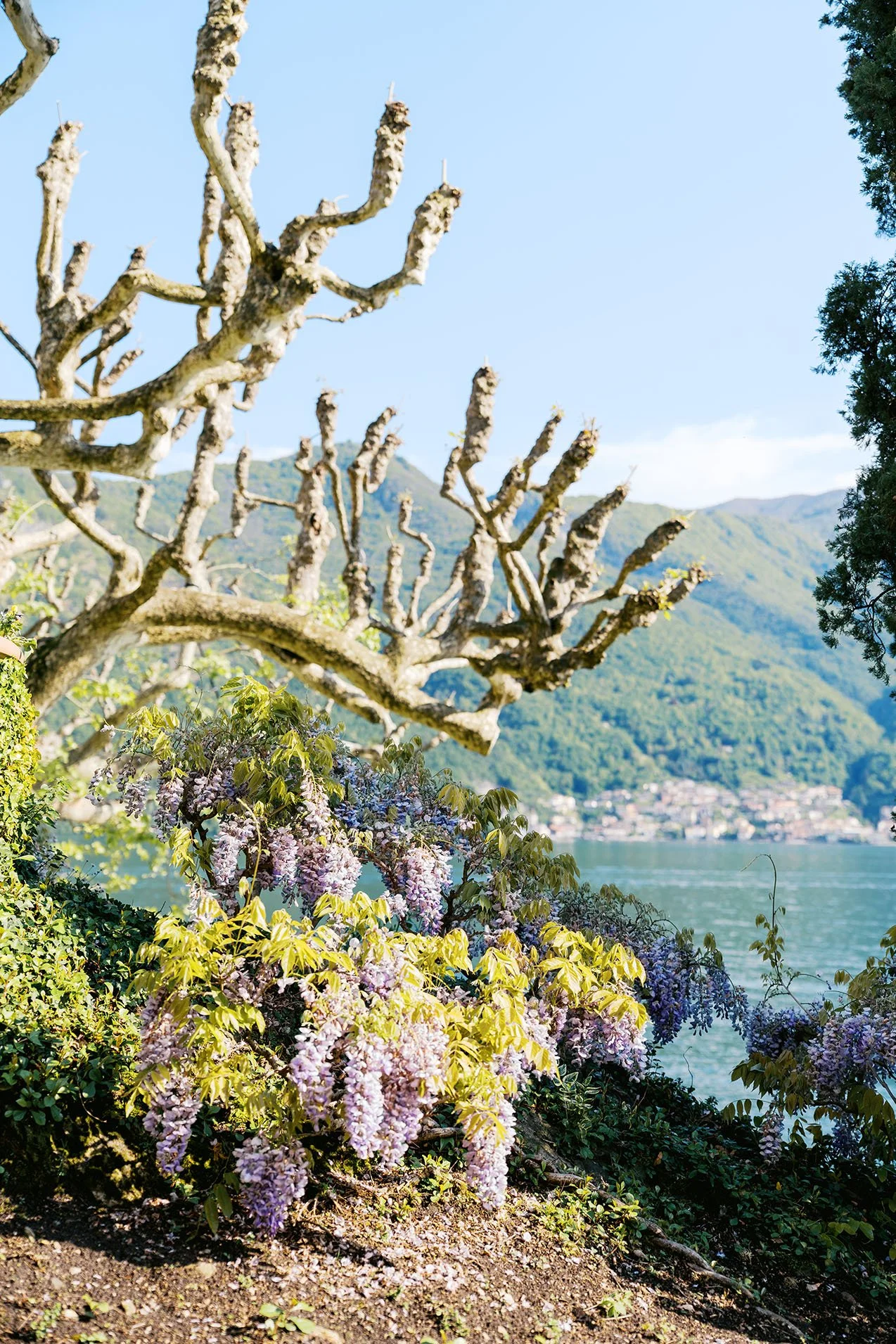 Landscape of Lake Como from Villa del Balbianello.