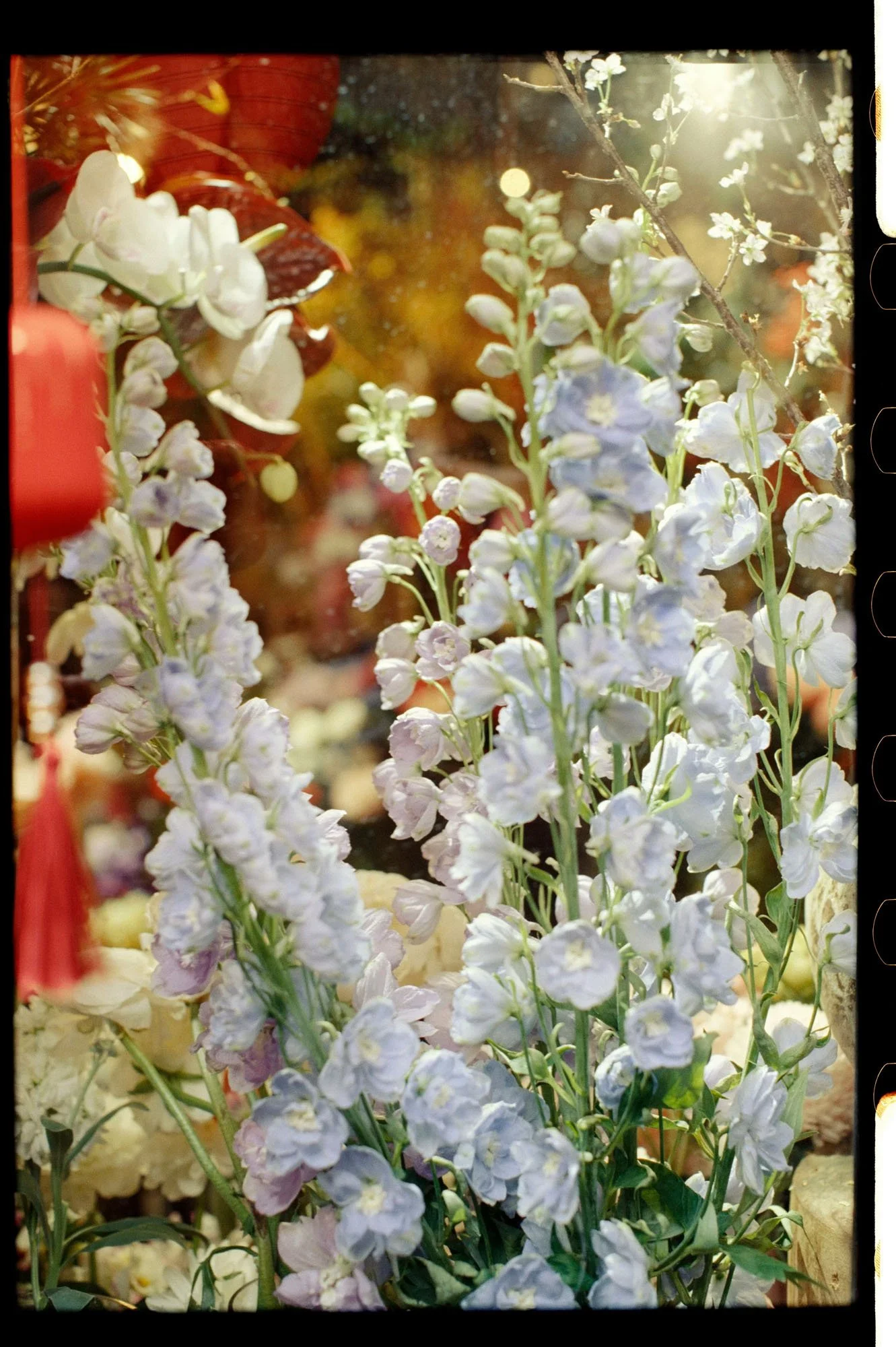 Flowers in a vase, by Wedding photographers in Germany, Duo Chen Photography