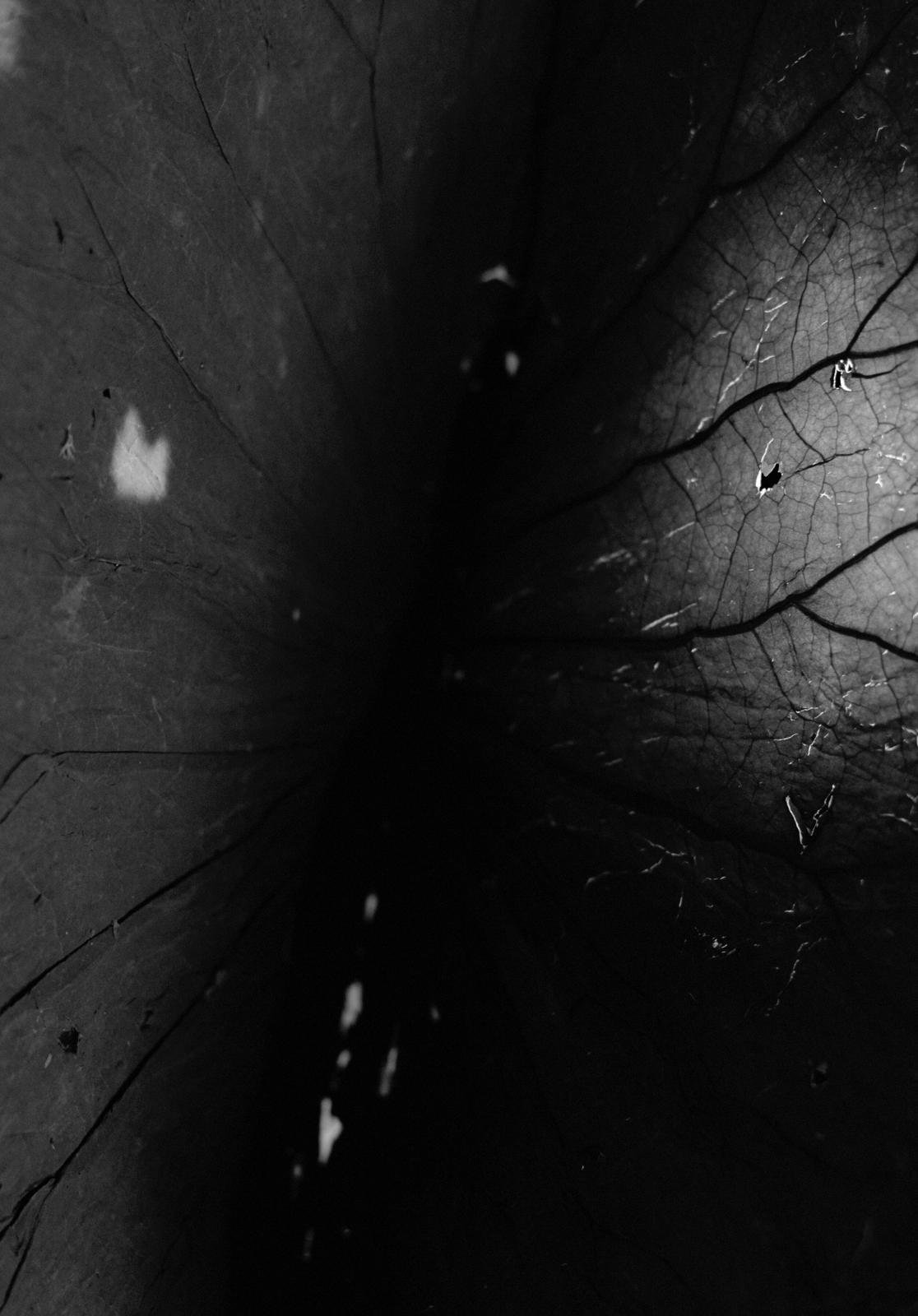 8fcb3e65-669a-41e8-8ca2-8dd2a377222a.jpg