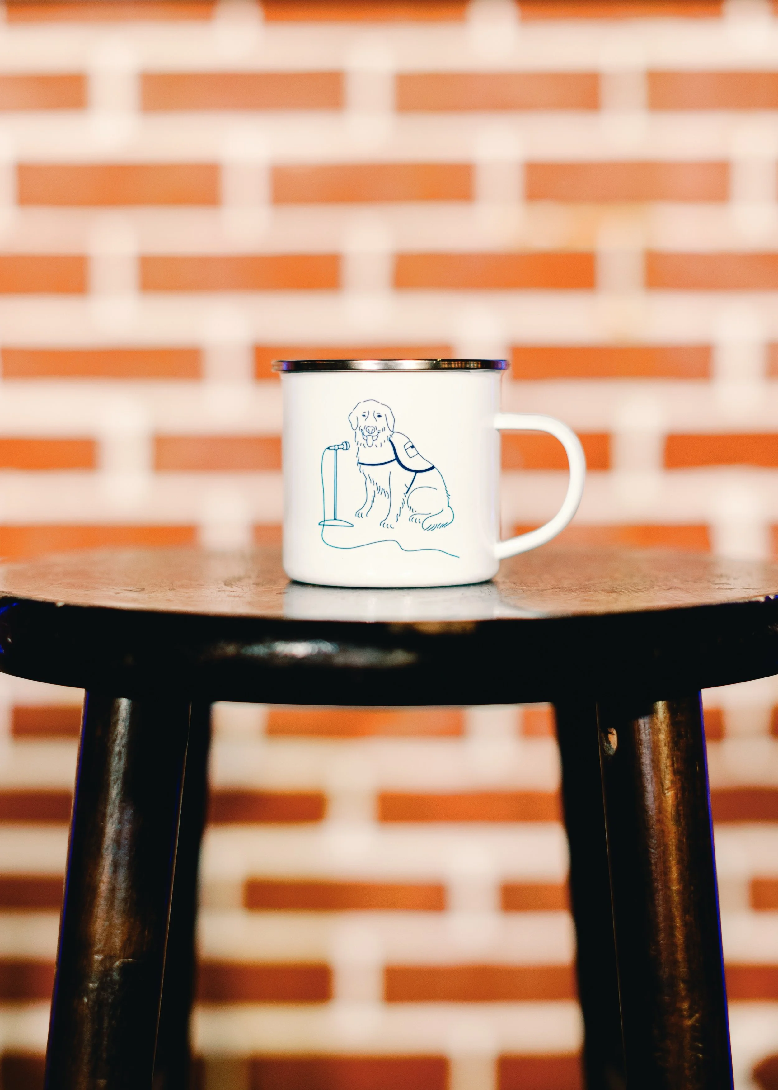 Enamel Mug