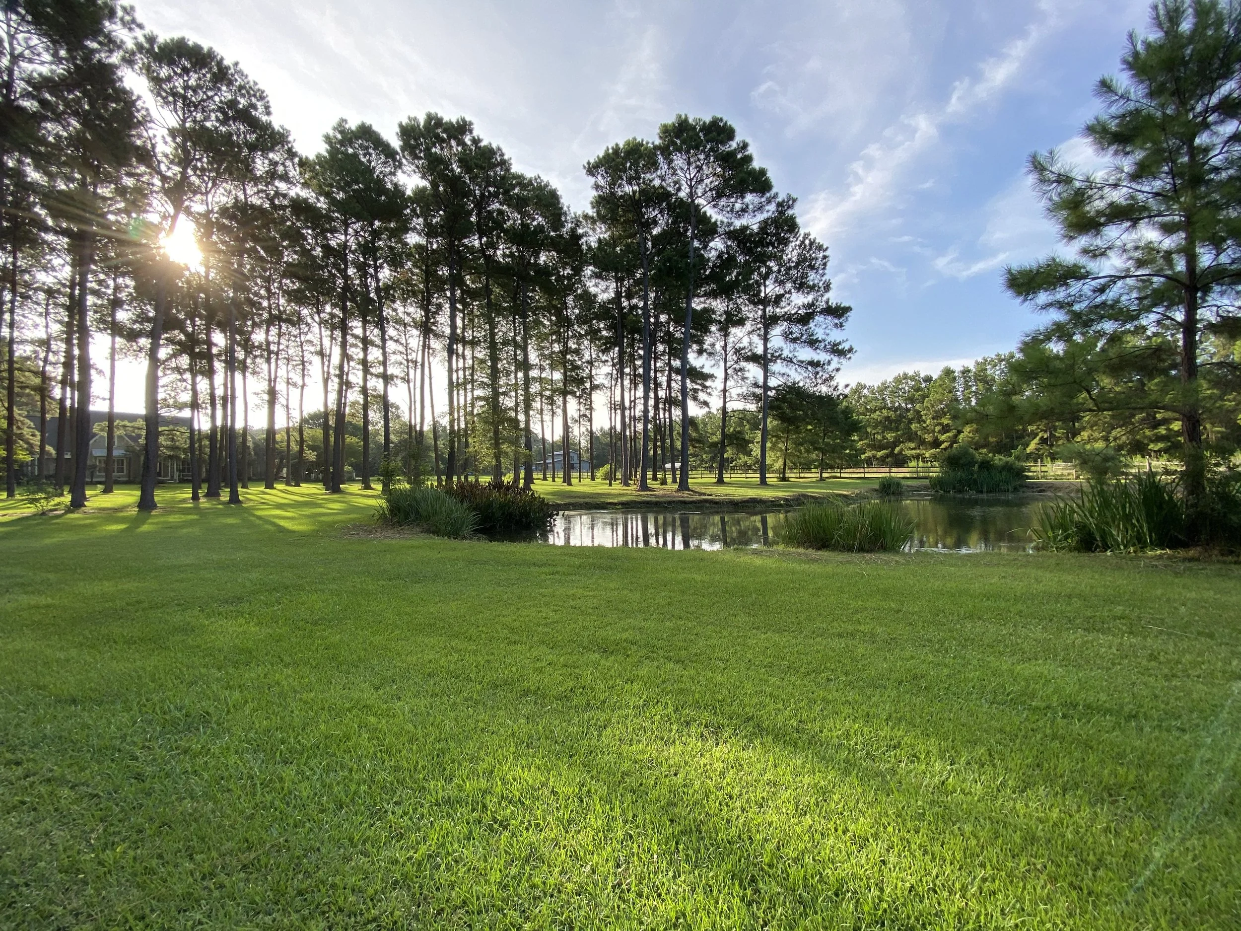 wedding-venue-pond-view.JPG
