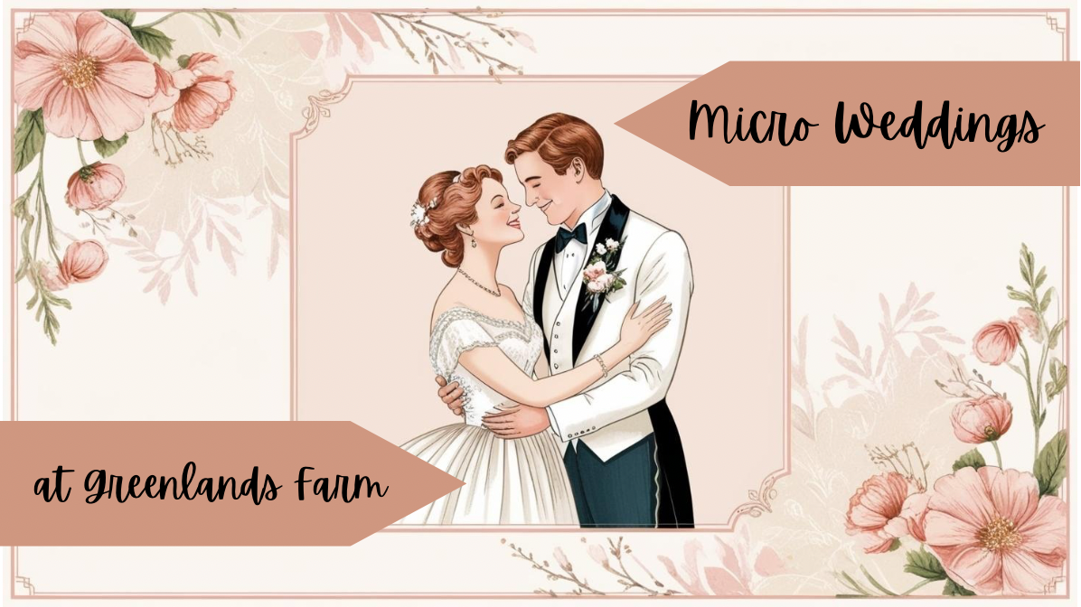 Micro Weddings at Greenlands Farm: Why Small Weddings Are the Big Trend