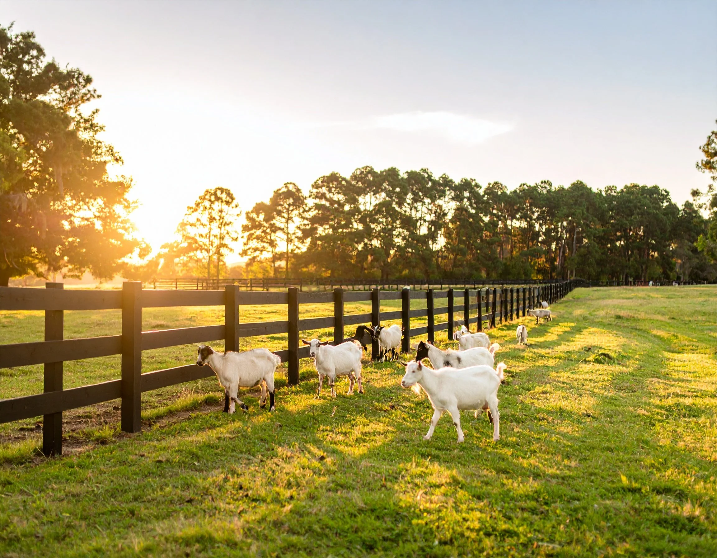 How to Plan a Stress-Free Wedding at Greenlands Farm Venue & Grounds