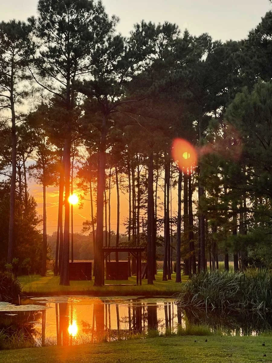 Sunset wedding at a farm venue in Brunswick County, NC