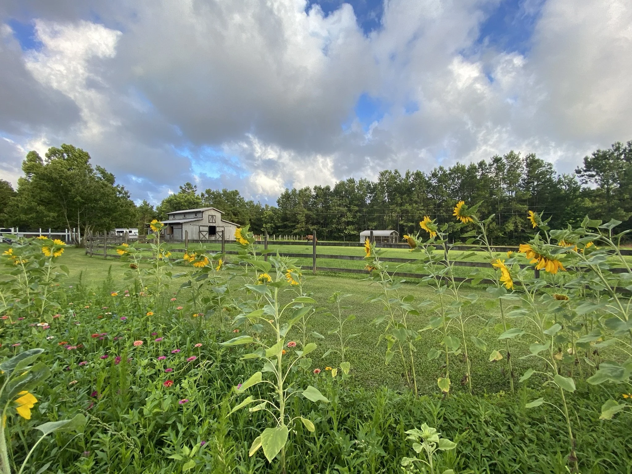 Event space for parties, baby shower, bridal shower, corporate party, vow renewal at Greenlands Farm in Brunswick County NC