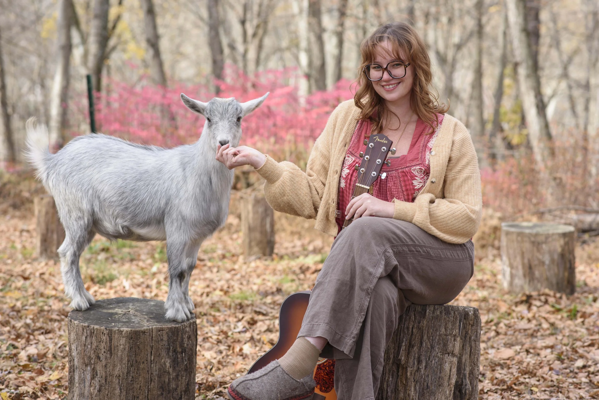 A young woman sits on a tree stump, holding a guitar and extending her hand to a small goat standing on a tree stump beside her