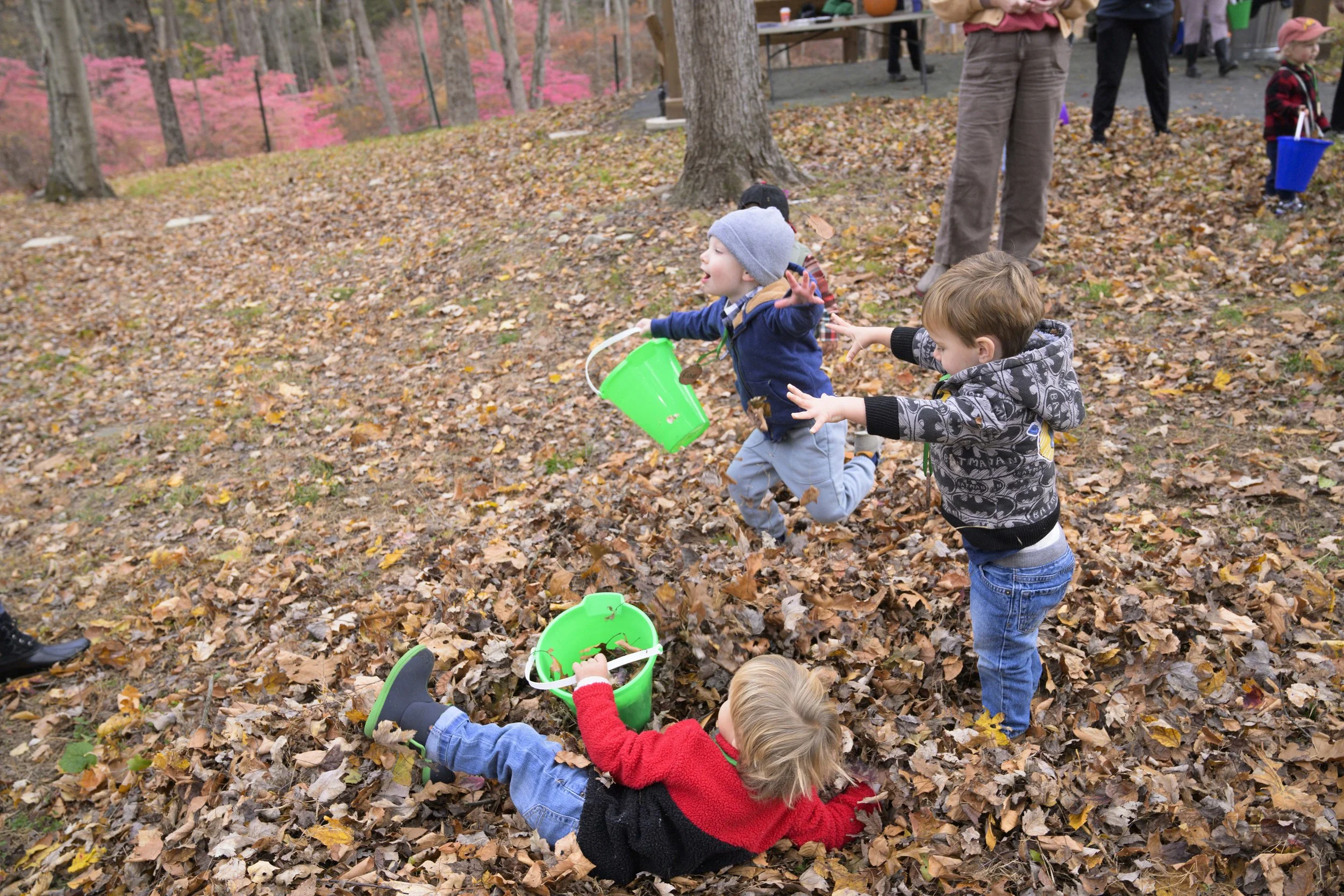Young boys playing in leaves