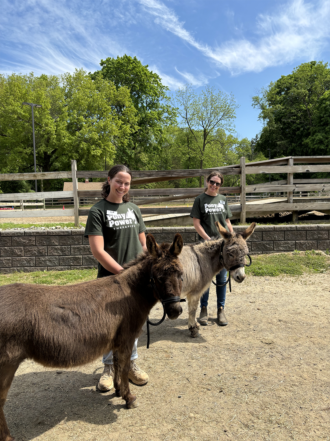 Miniature donkeys Frisky and Coco