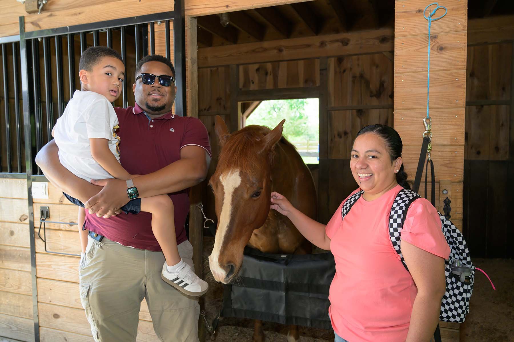 A family visits with a brown and whitehorse