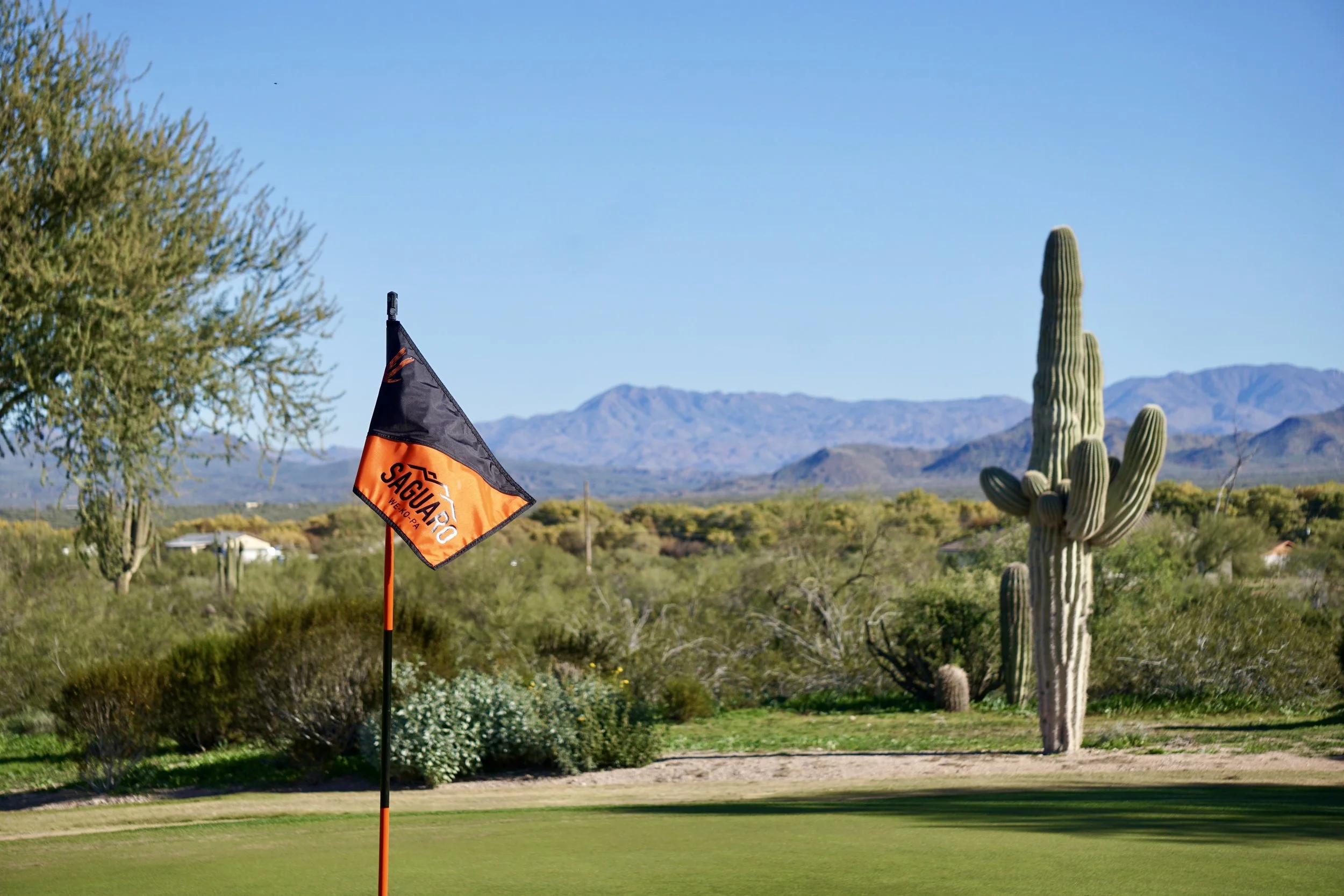 Best Golf Courses in Scottsdale: We-Ko-Pa, TPC Scottsdale &amp; Quintero