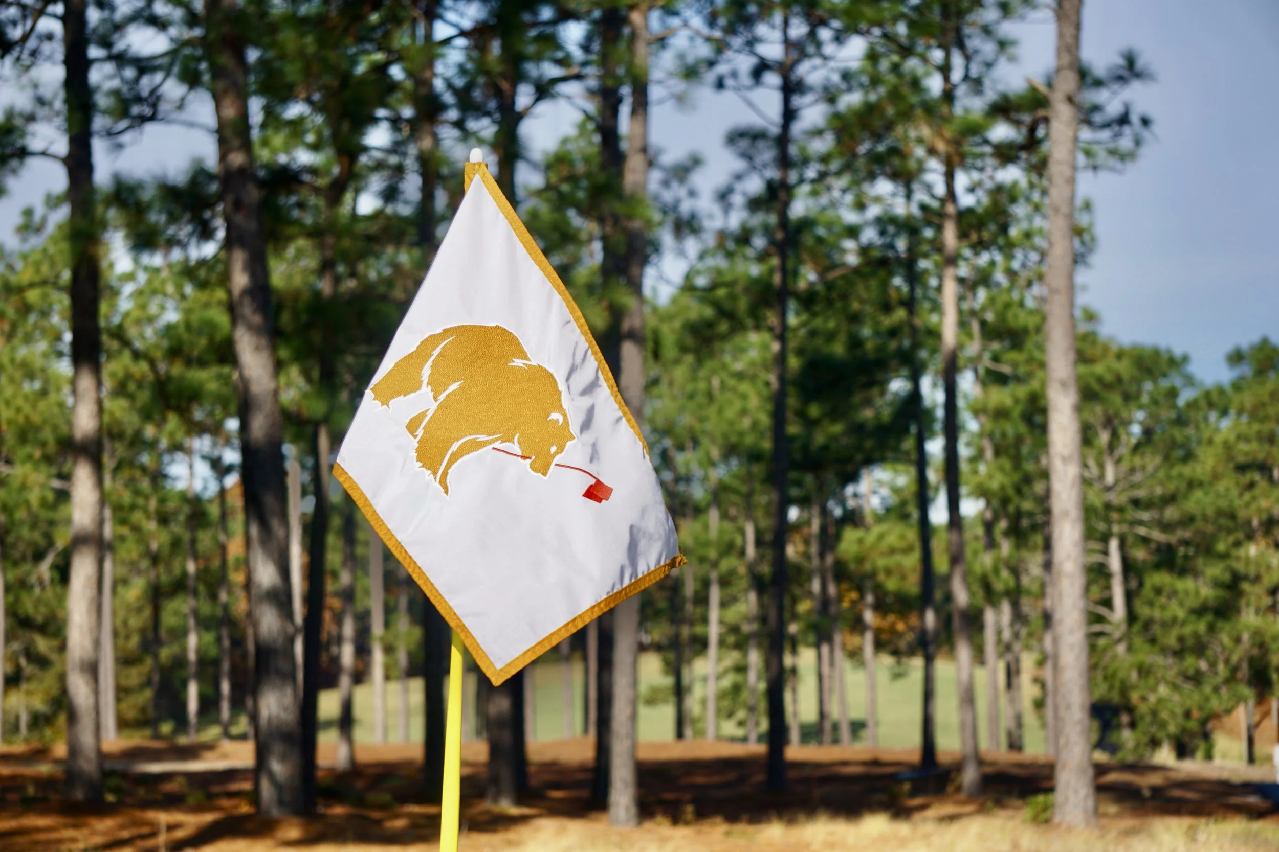 Best Affordable Golf Courses in Pinehurst: Hidden Gems That Won’t Break the Bank