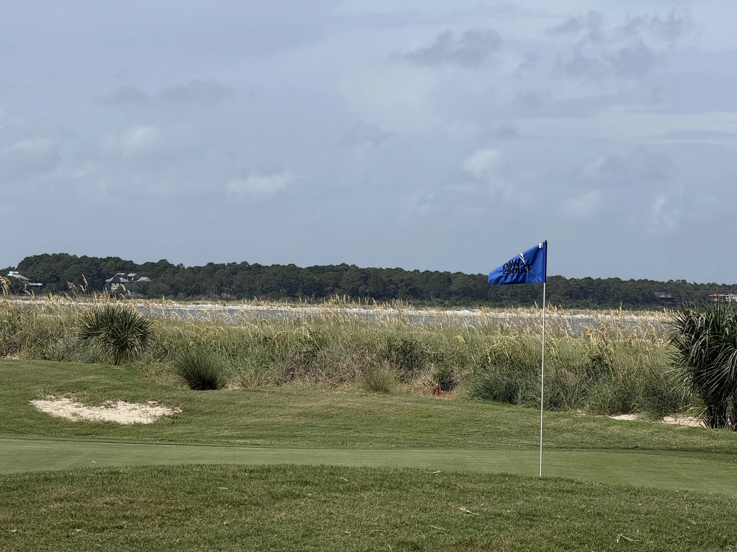 7 Best Golf Courses Near Charleston, SC (Within 30 Minutes of Downtown)