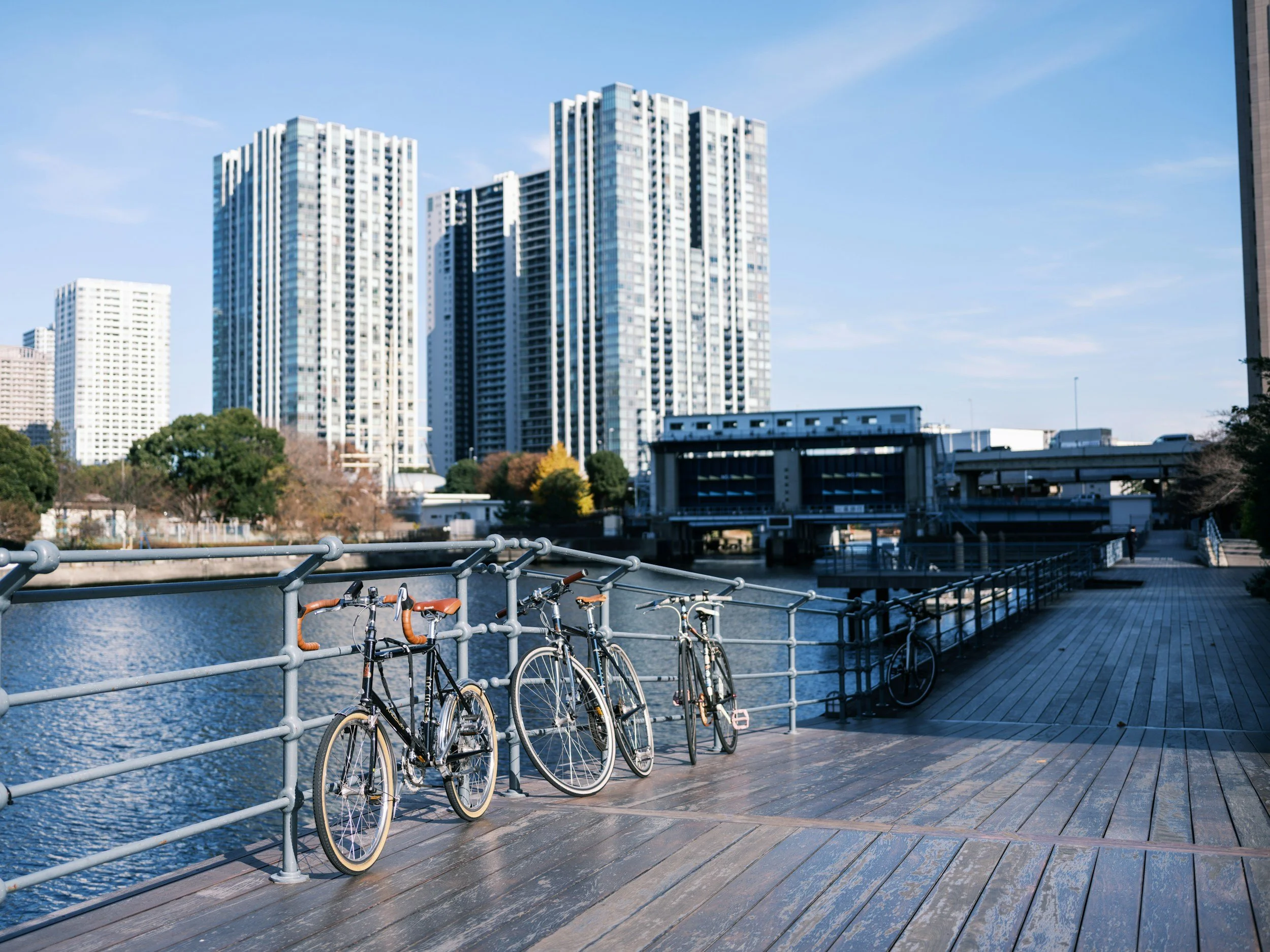 Japan's Immigration Shift: A Guide for Foreign Business Leaders