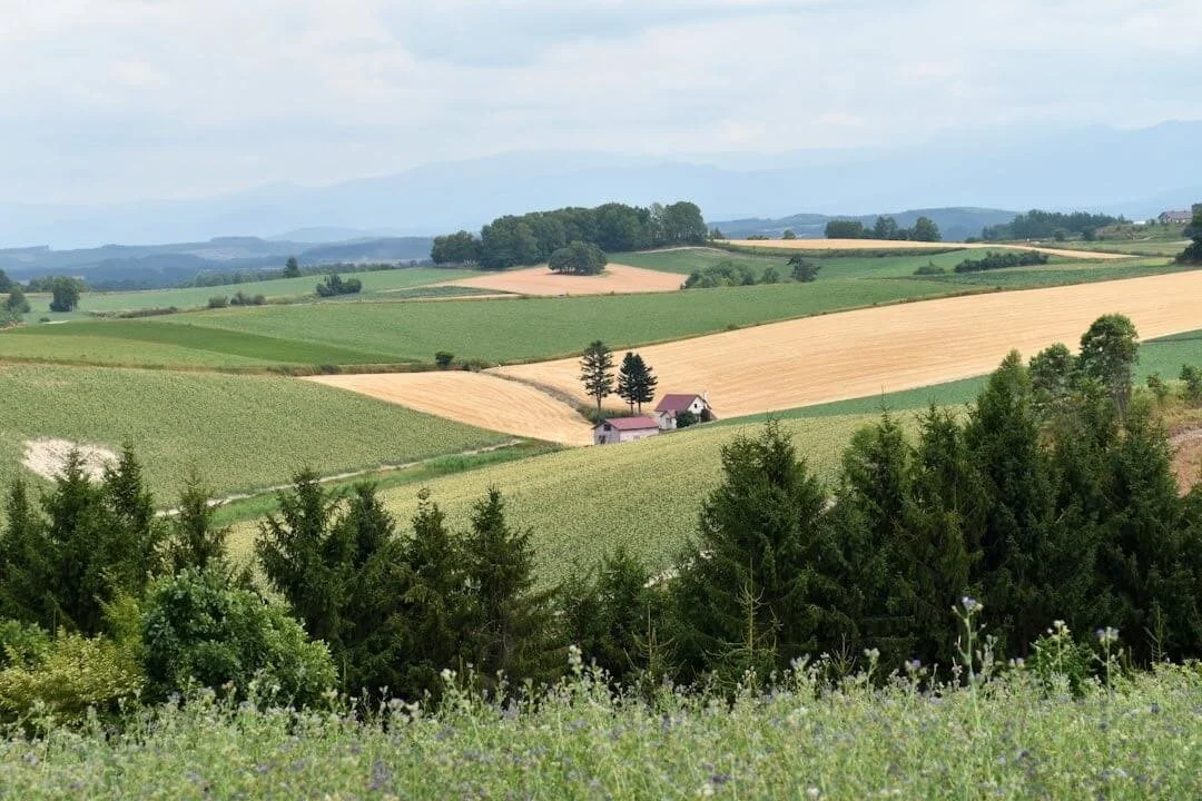 A scenic view of Hokkaido's rolling hills and agricultural farmland, representing the rural landscape discussed in the economic divestment plan.