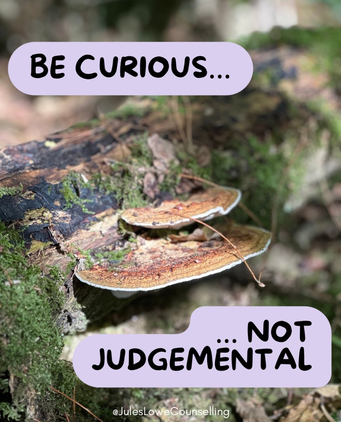 How often do we humans judge each other, yes, but also ourselves? How often do we give ourselves a hard time for making a mistake? For saying the &ldquo;wrong&rdquo; thing? For reacting in a certain way? 

What would it be like to reflect on our acti