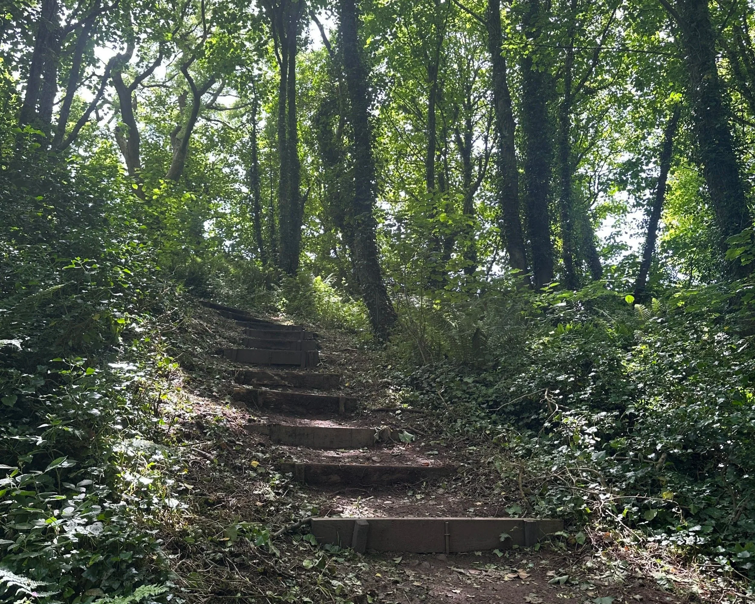 One step at a time @ Jules Lowe Counselling A photo of steep and winding steps into the unknown. Lots of trees. Grief Therapist. Burton. Staffordshire. Out door Therapy.