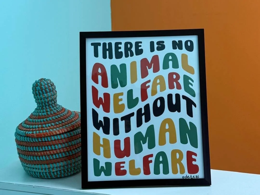 A framed poster with colorful, bold text that reads "There is no animal welfare without human welfare". Next to the frame is a woven, multicolored, rounded vase with a lid, sitting on a white surface against a blue and orange wall.
