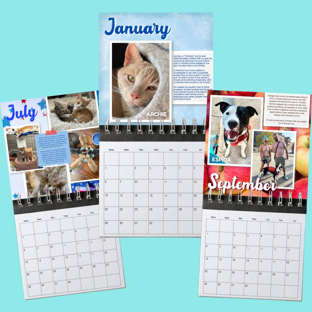 Familiar Hearts Animal Society sampling of three of their limited edition 2026 calendar