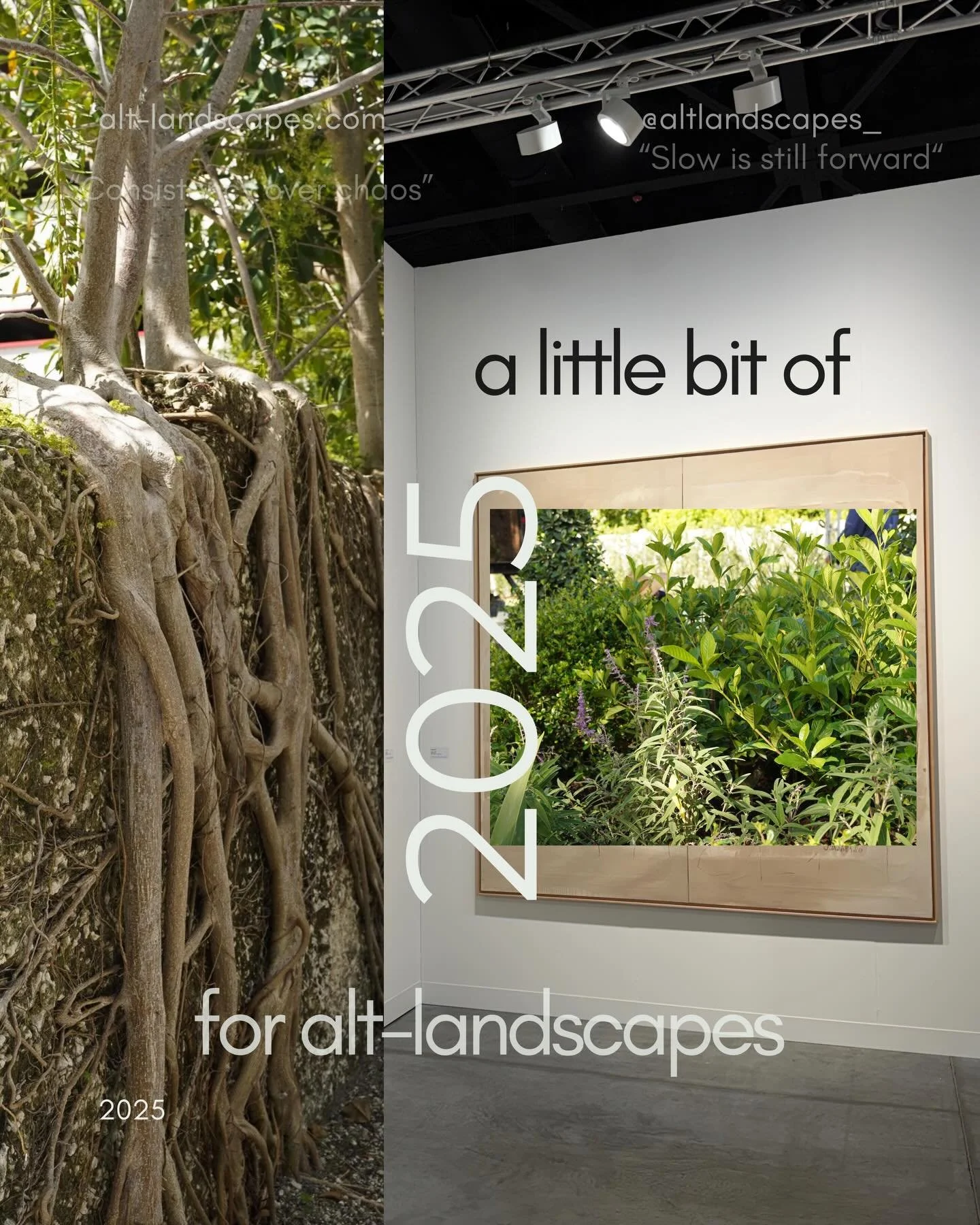 2025 was a year of building &mdash; slowly, imperfectly, honestly.
Of learning through doing, unlearning expectations, and trusting process over speed.

There were gardens imagined, spaces shaped, ideas tested, mistakes made, and a lot of quiet growt