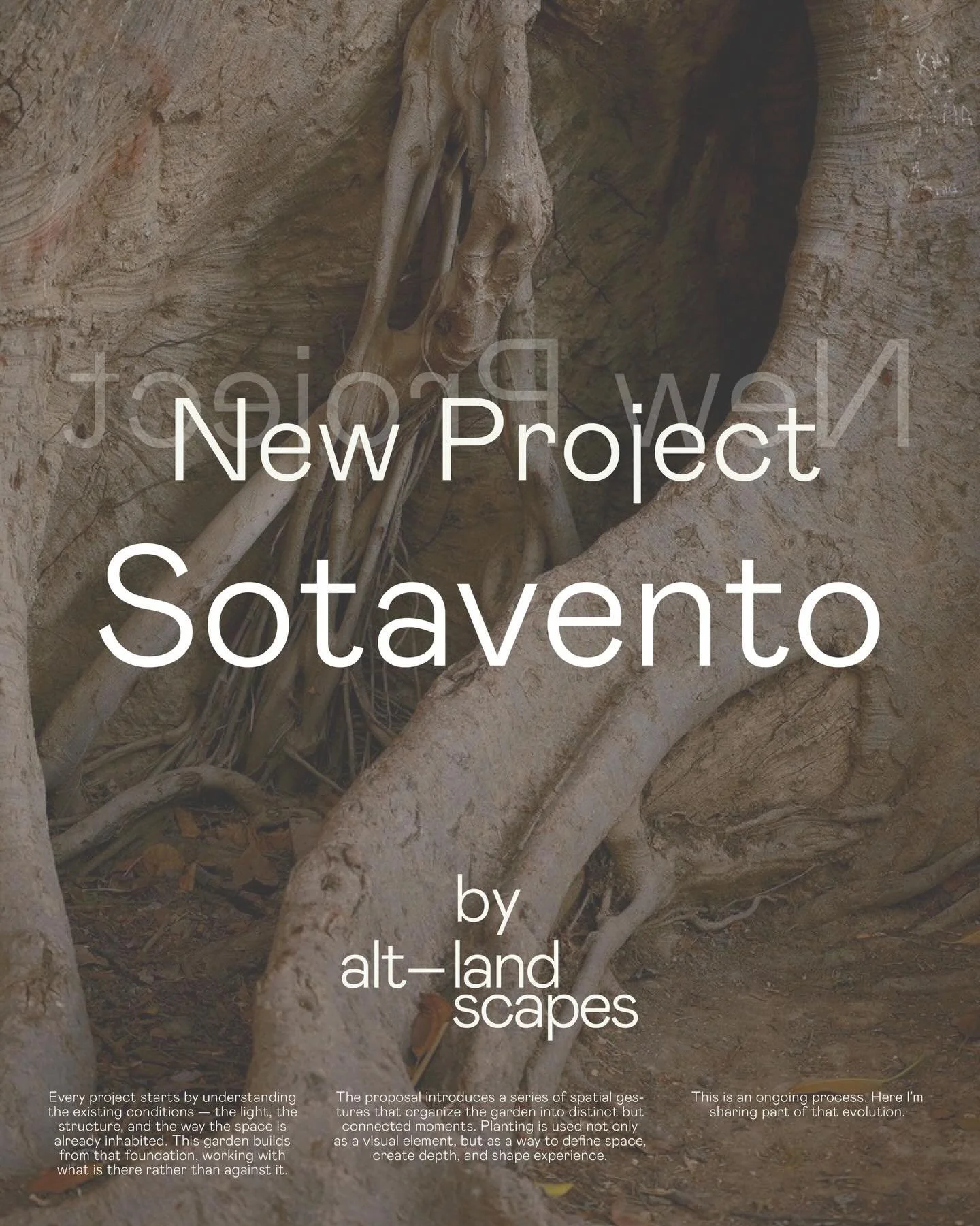 [EN] New project &mdash; in progress

Open space held by the shade of ficus trees,
a water arrival, and a view that slowly unfolds.

March 2026

Layered greens define the palette &mdash; texture over color.
Soft whites bring lightness.

Built on cora