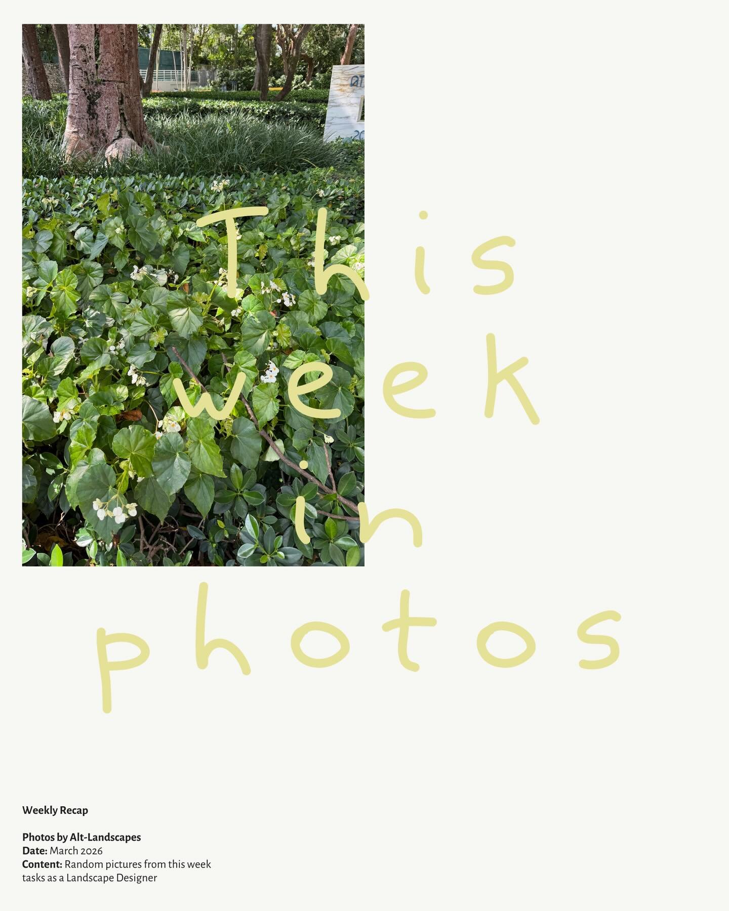 [ES] Una semana de nuevos comienzos.

Nuevos clientes, nuevas conversaciones, y esa sensaci&oacute;n de que la primavera empieza a asomar&mdash;trayendo una energ&iacute;a m&aacute;s liviana, nuevas ideas y ganas de crear.

En @flora.byalt , nuevos a