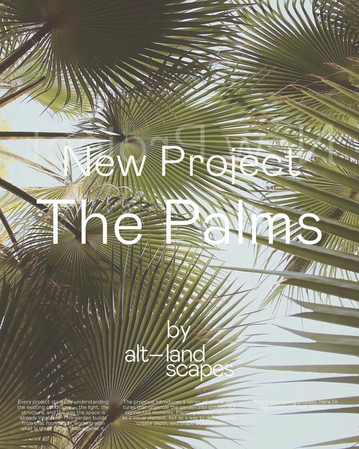 [EN] New project &mdash; in progress

Waterfront garden.
Full landscape redesign with new planting and a strong palm presence. 

Layered tropical greens, simple materials, and views opening to the water.

Clean, lush, and easy to live in.

[ES] Nuevo