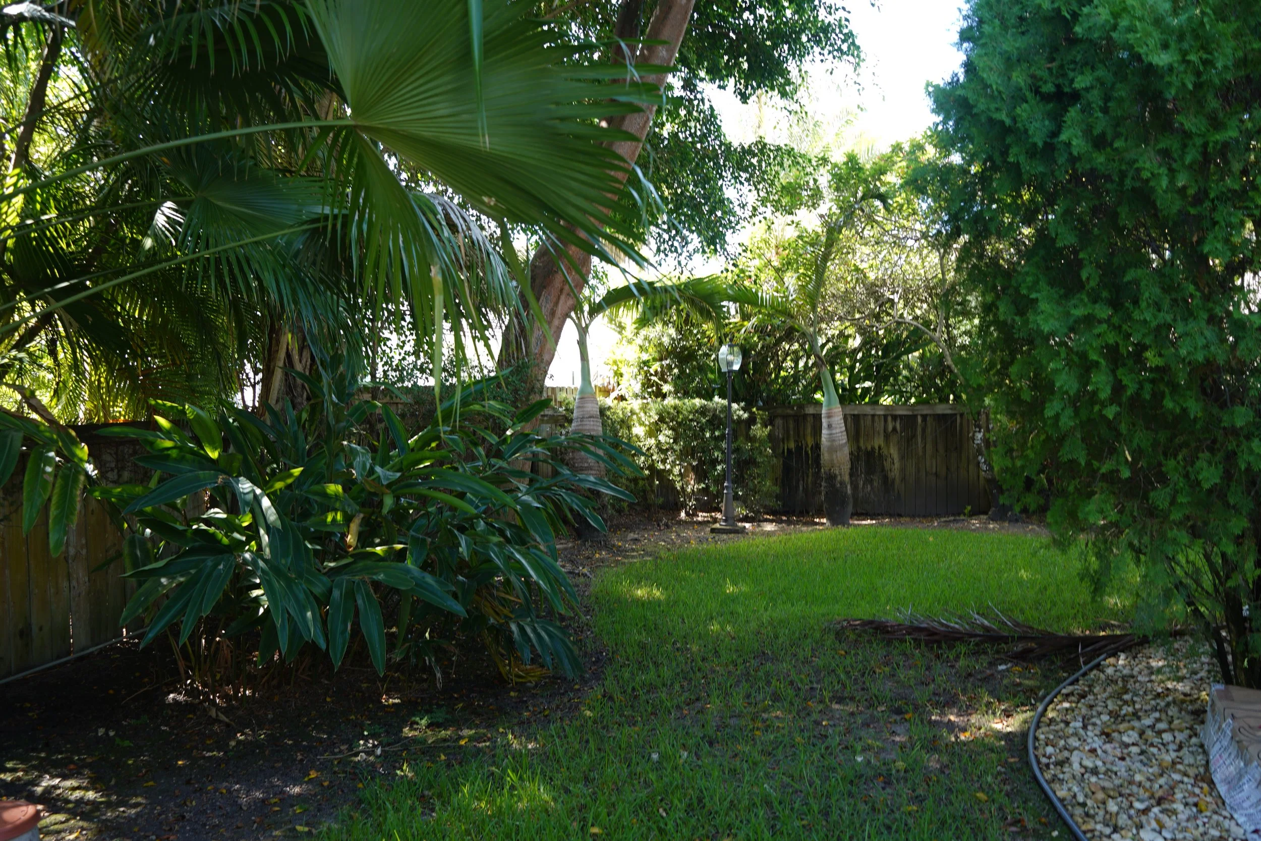 DSC05721.JPG