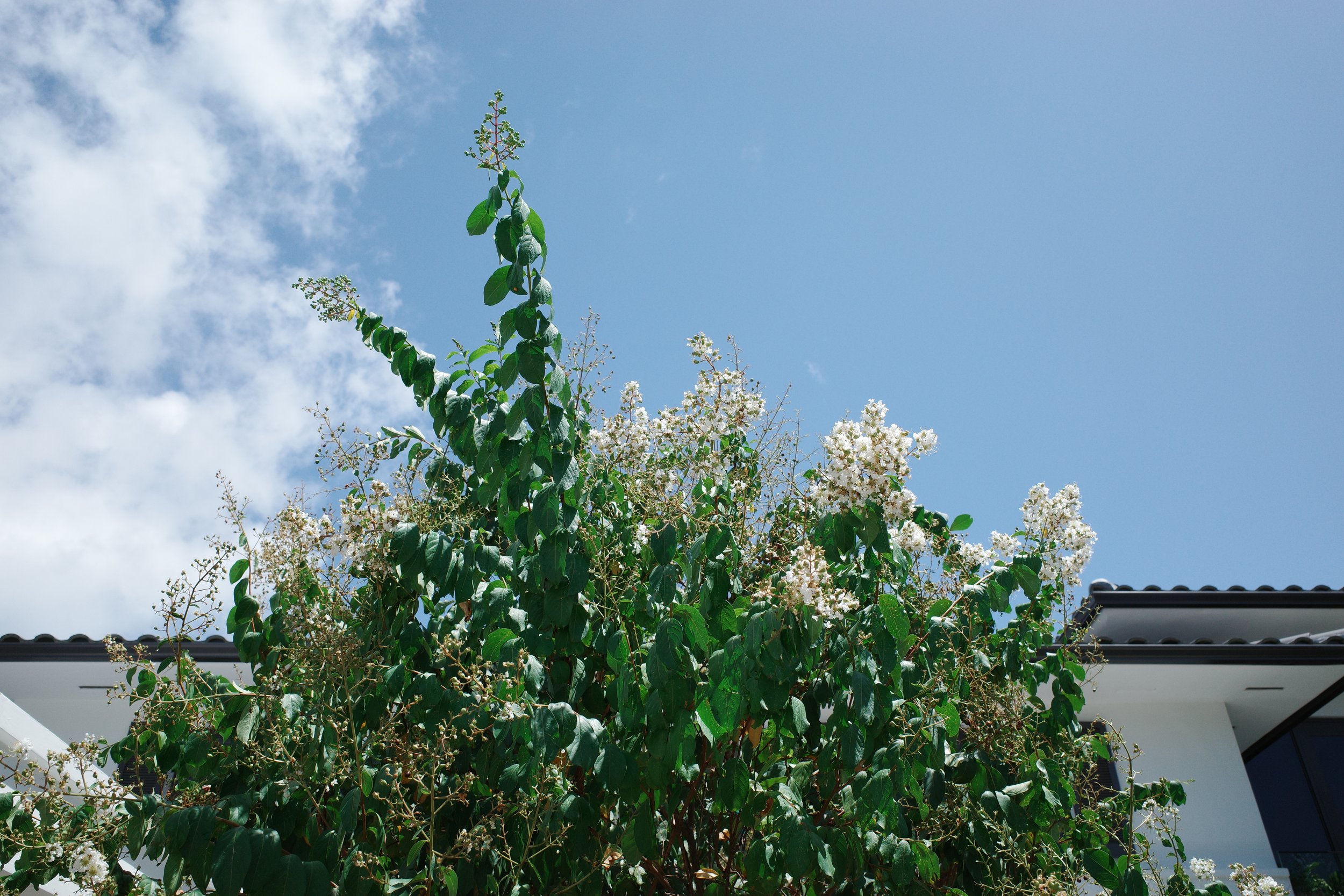 R0001488.JPG