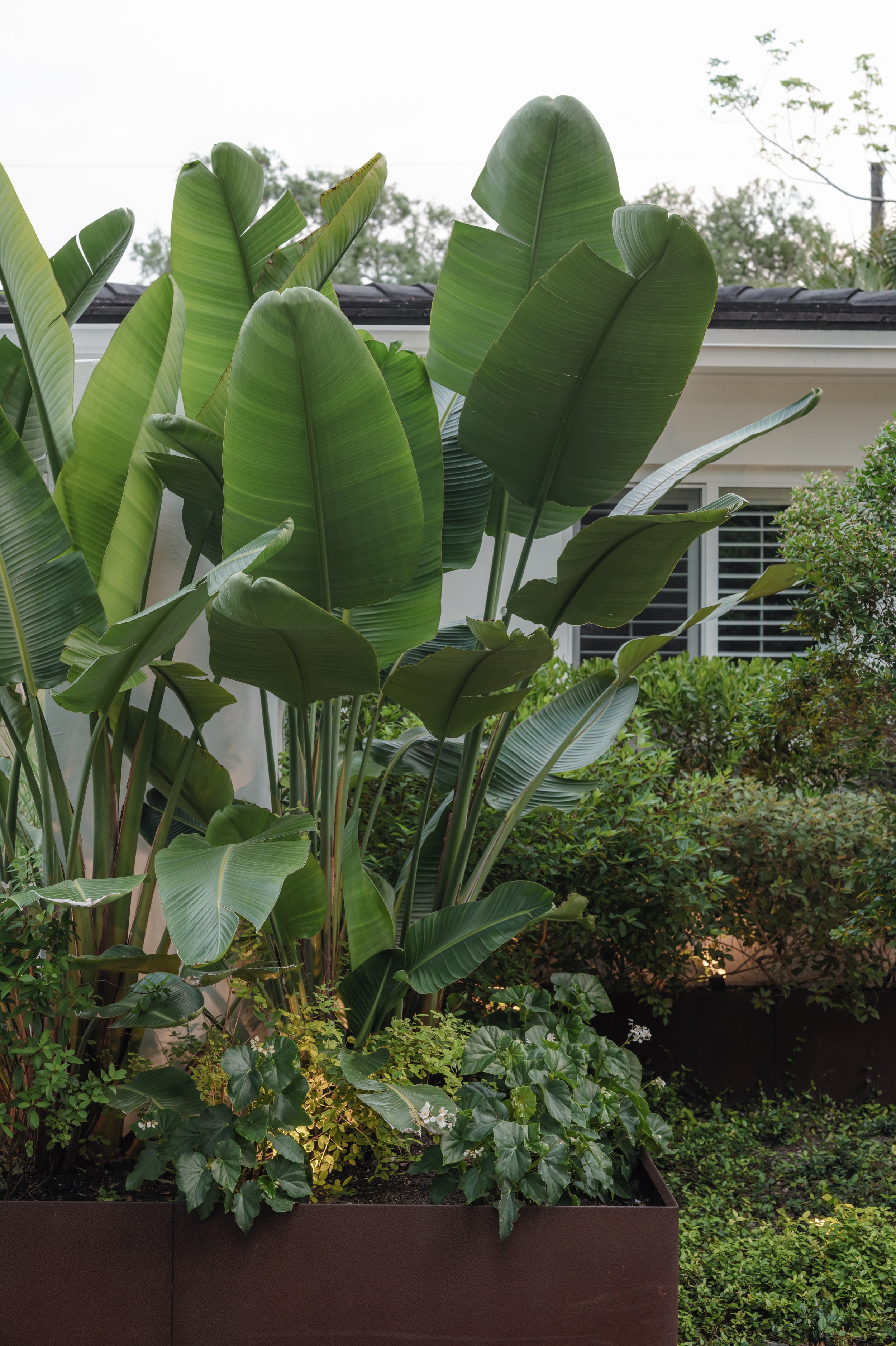 Las Chapas Garden