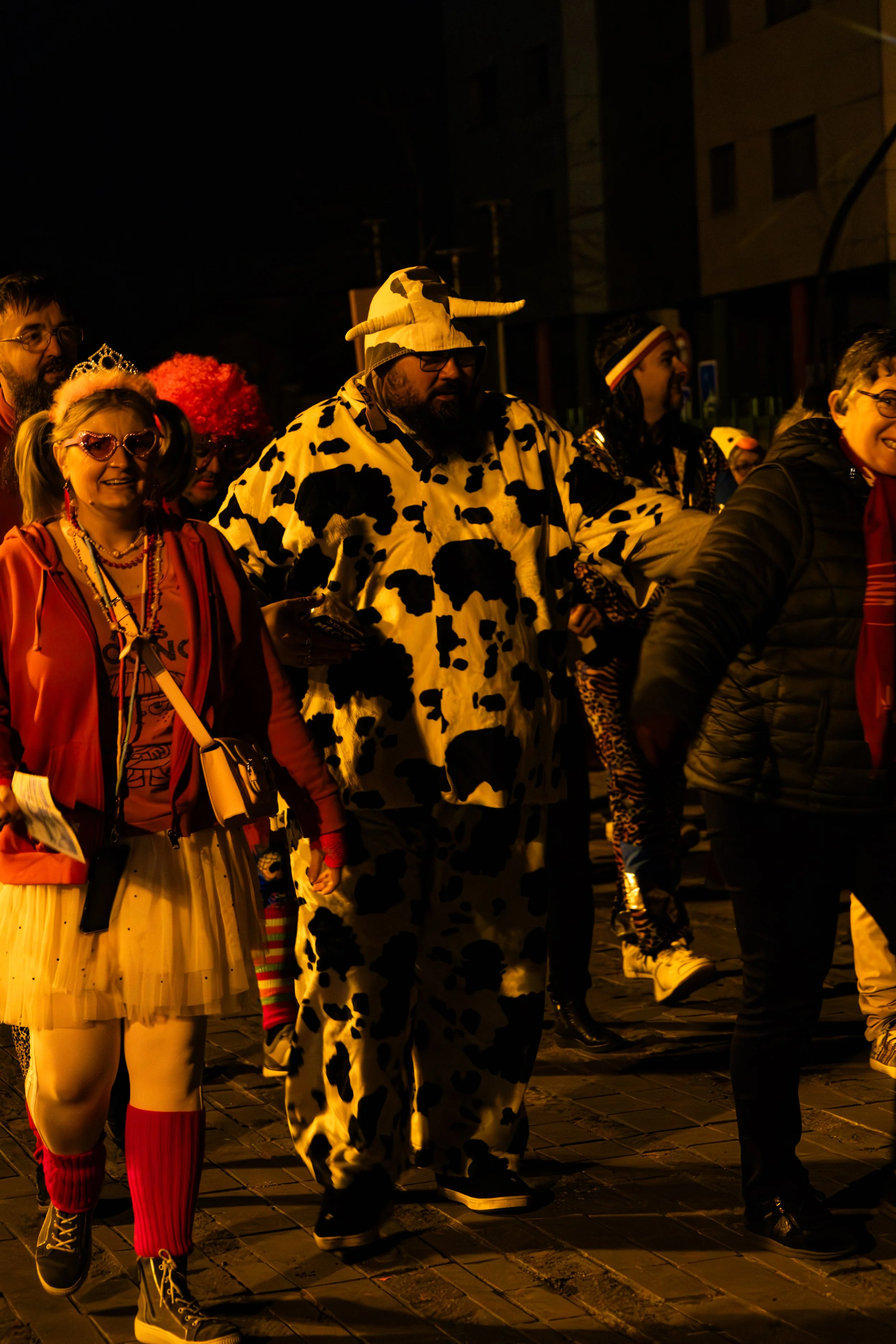 IMG_0031-Avec accentuation-Bruit.jpg