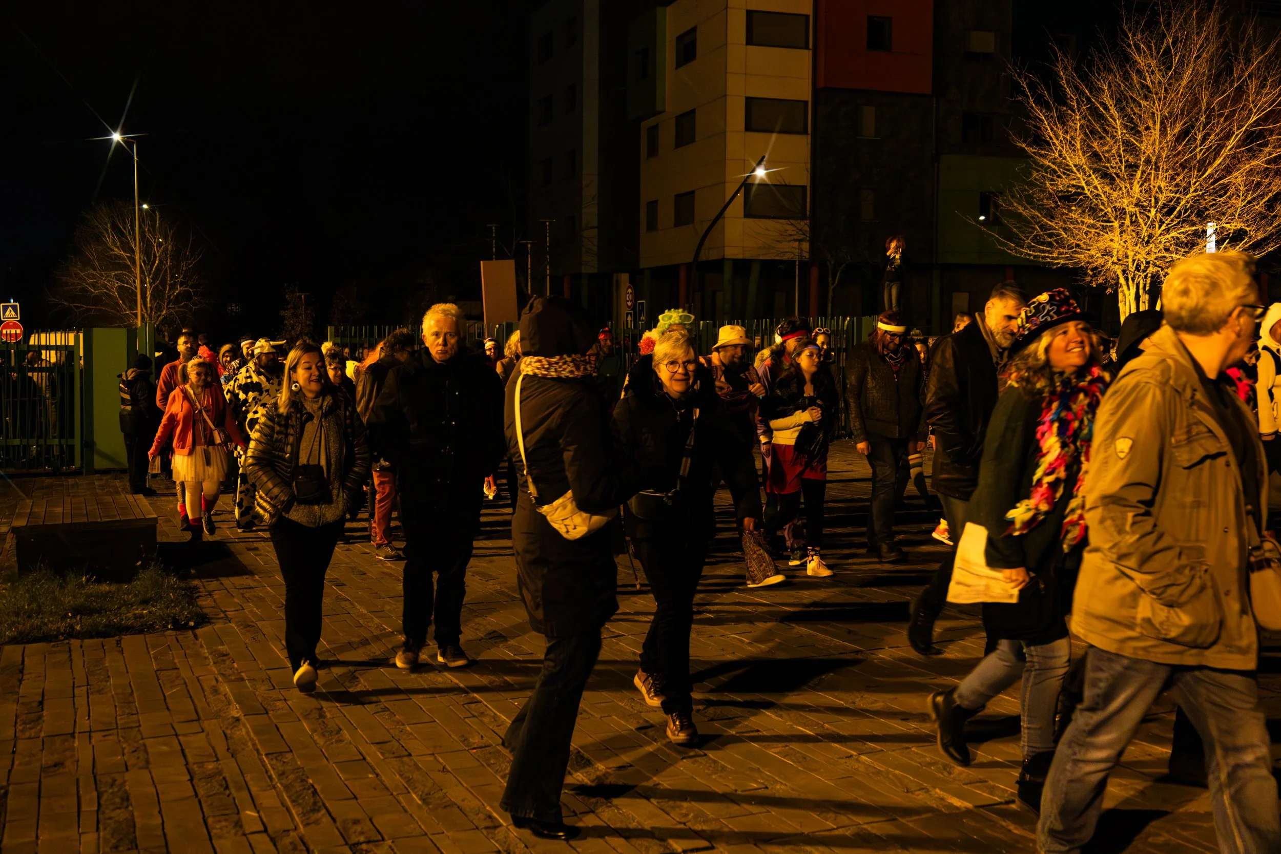 IMG_0027 2-Avec accentuation-Bruit.jpg