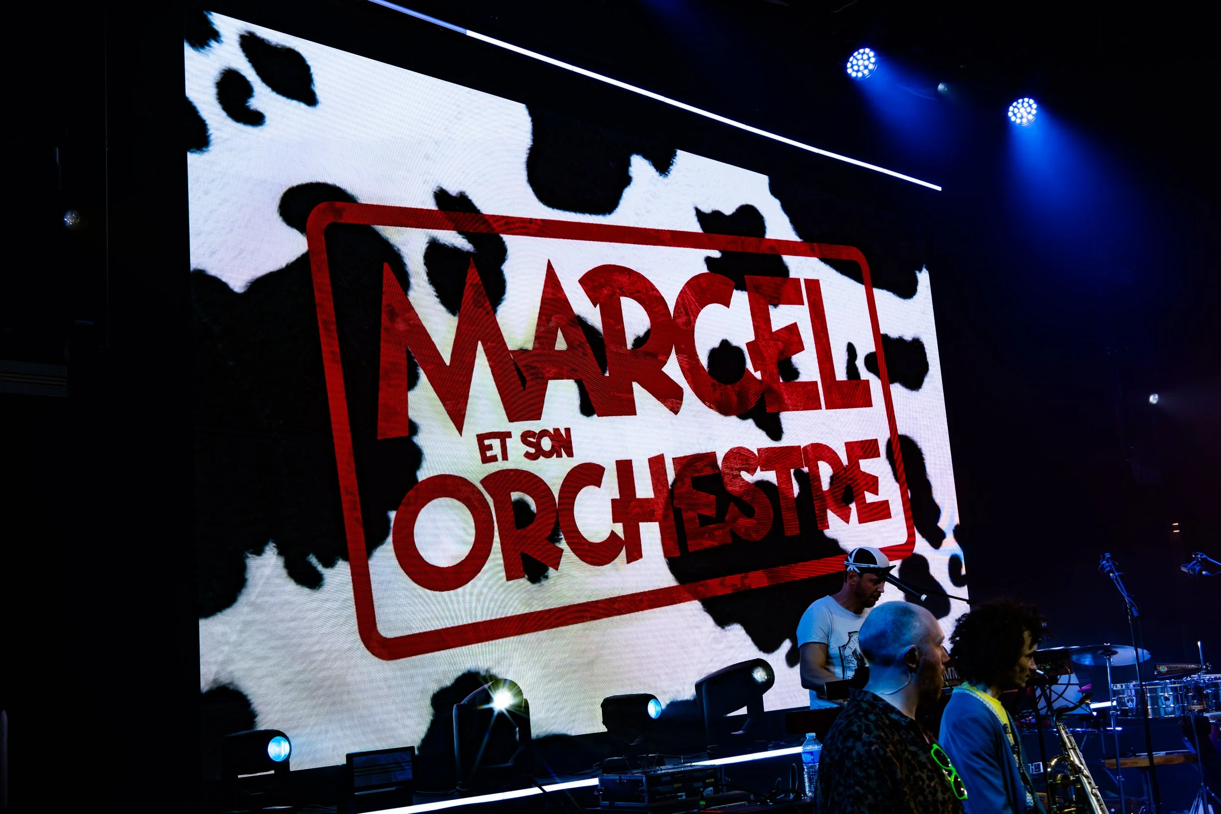 IMG_0879-Avec accentuation-Bruit.jpg