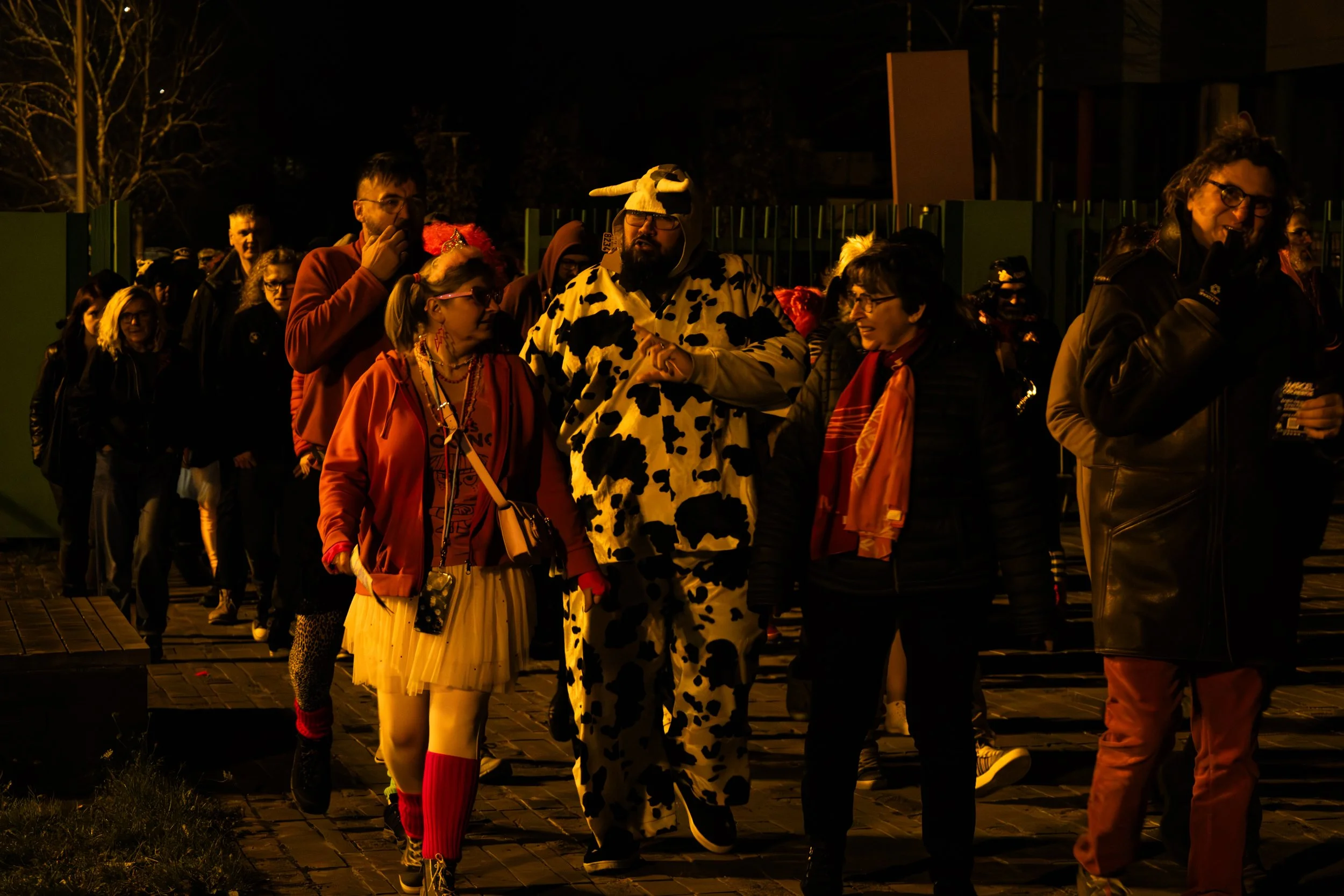 IMG_0029-Avec accentuation-Bruit.jpg