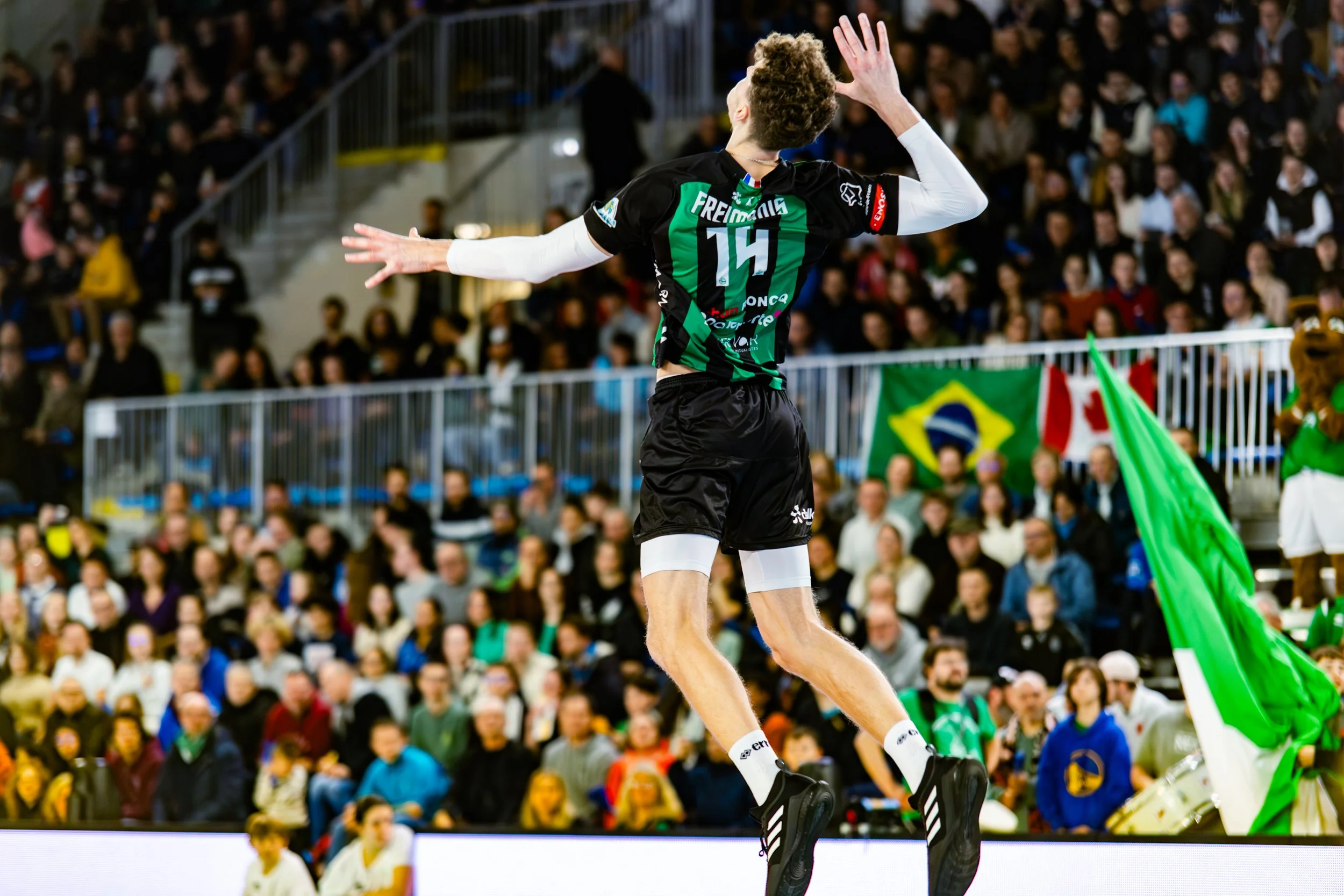 IMG_5753-Avec accentuation-Bruit.jpg