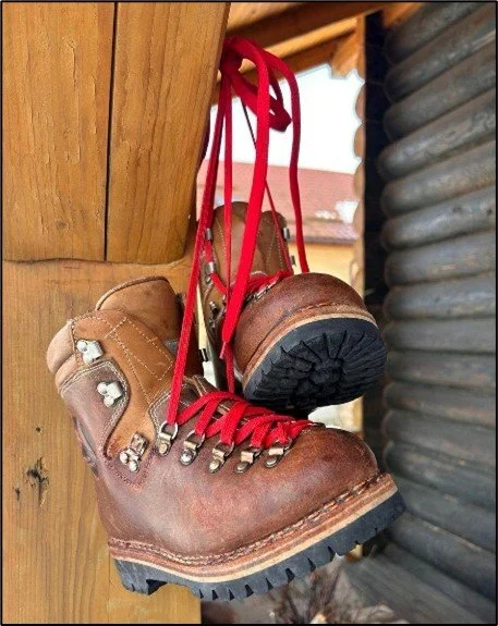 올바른 것을 신뢰하고 있습니까?