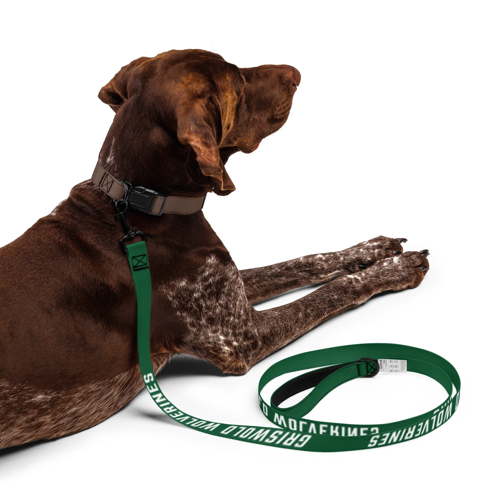 pet-leash-white-front-6897804c79294.jpg